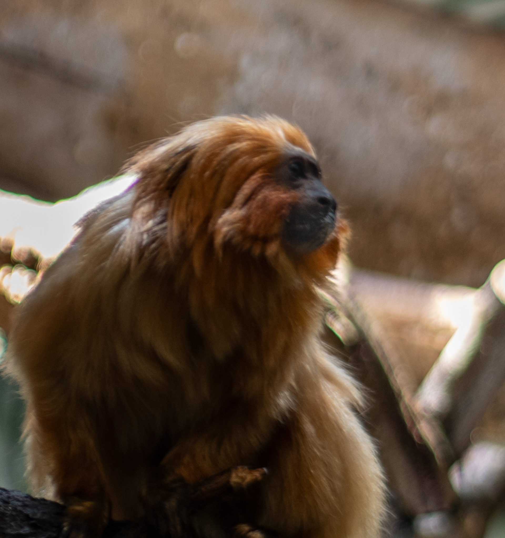 Denver Zoo in Denver, Colorado