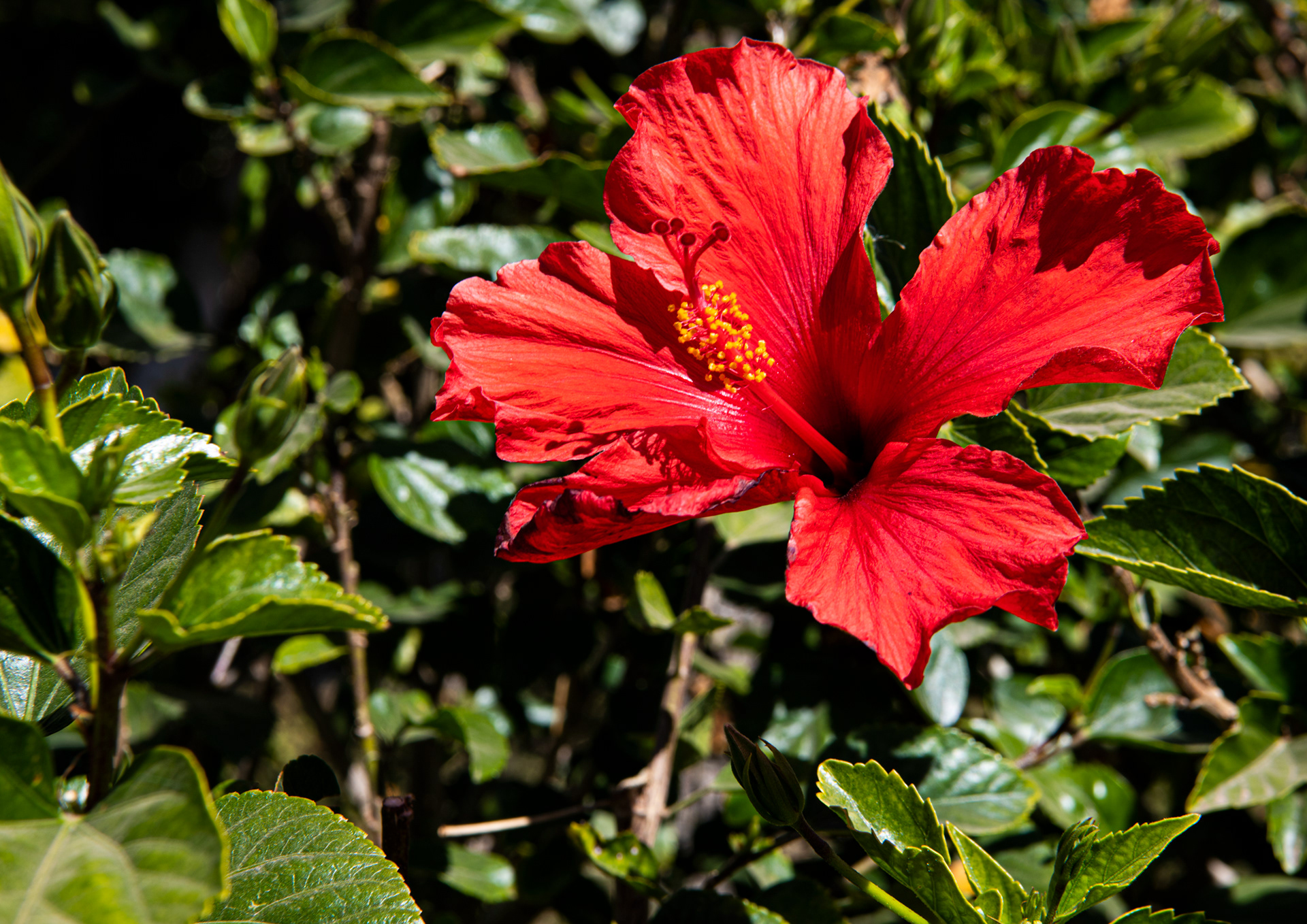 Phoenix Zoo in Phoenix, Arizona