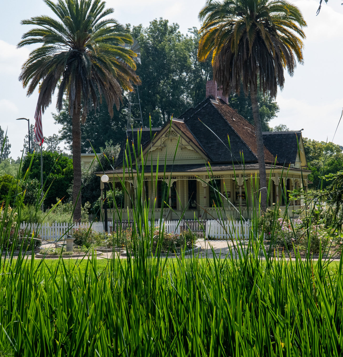 California State Fullerton Arboretum 