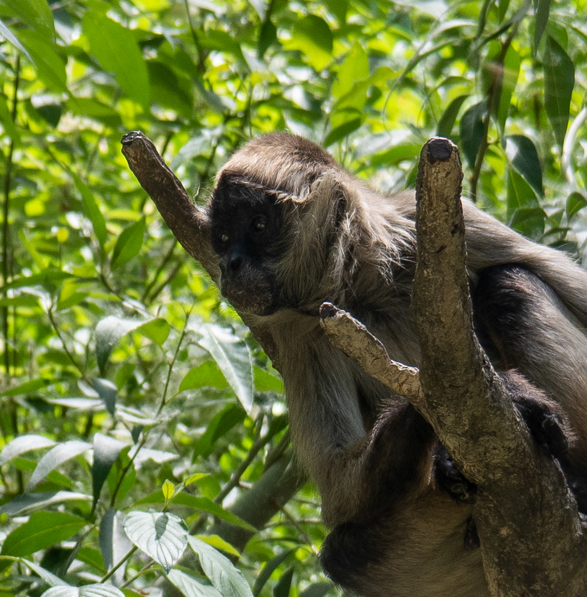 Denver Zoo in Denver, Colorado