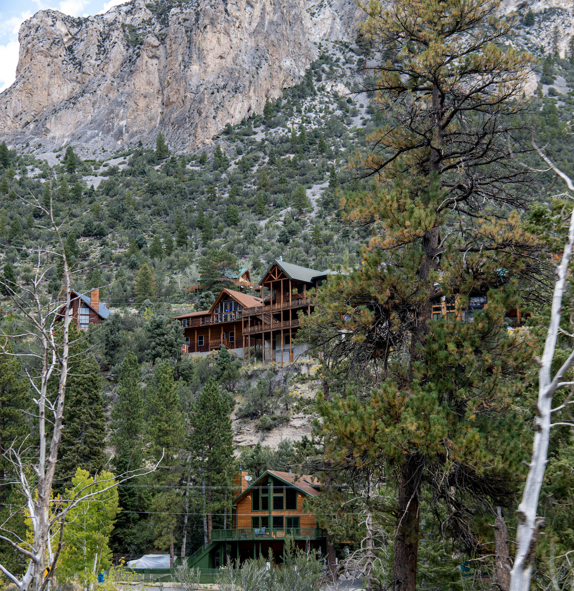 Mt. Charleston in Las Vegas, Nevada
