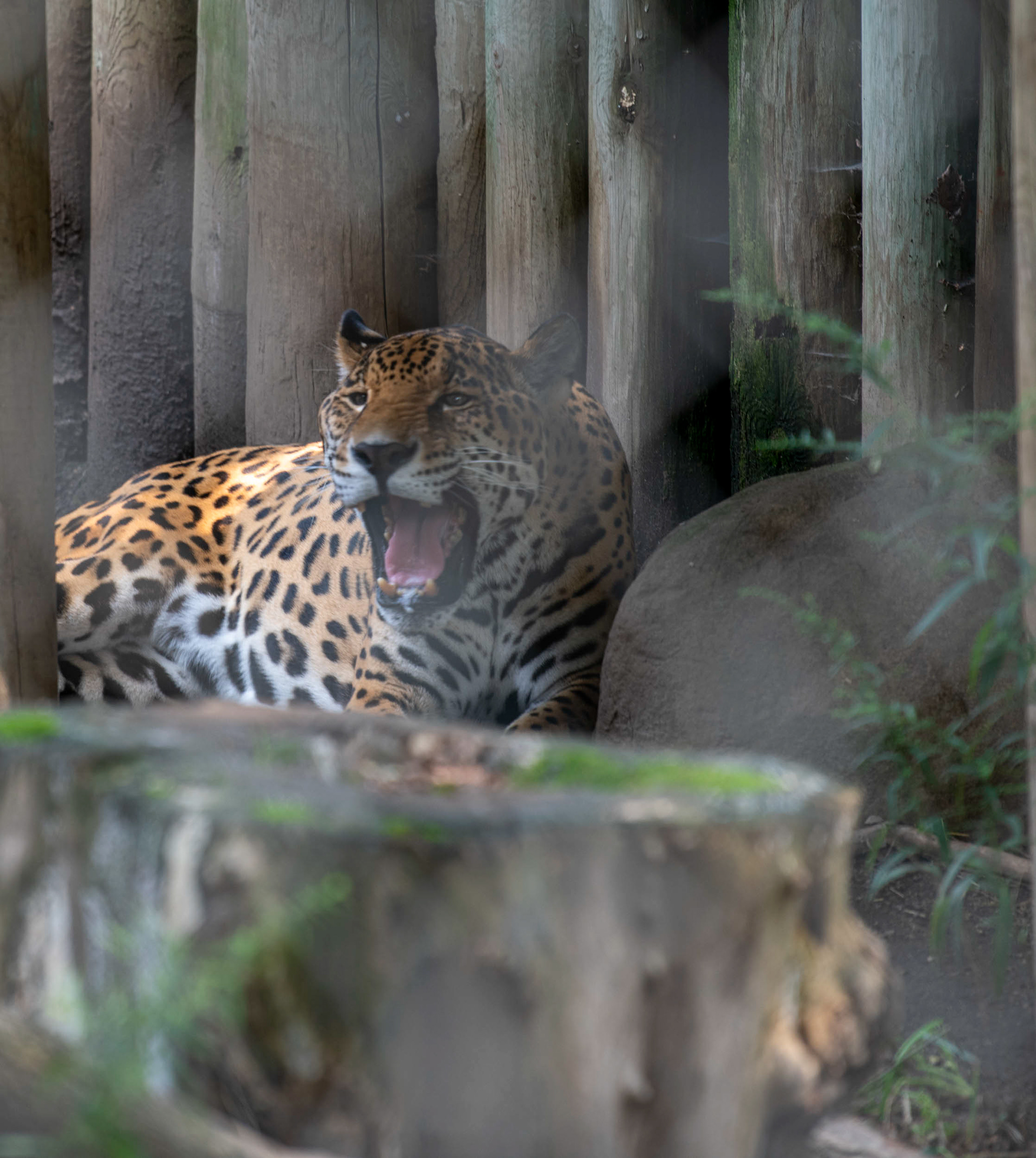 Erie Zoo in Erie, Pennsylvania