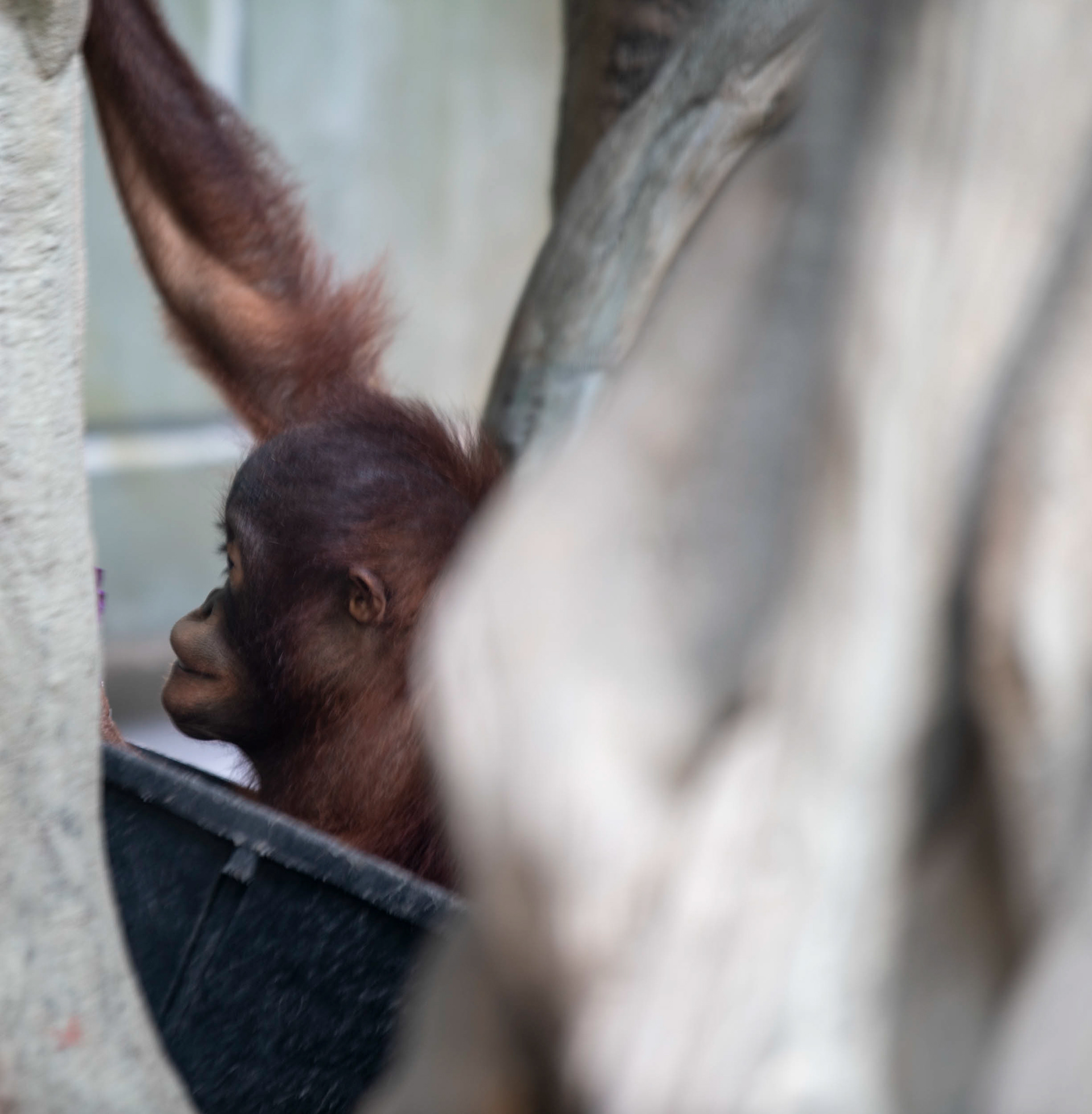 Erie Zoo in Erie, Pennsylvania