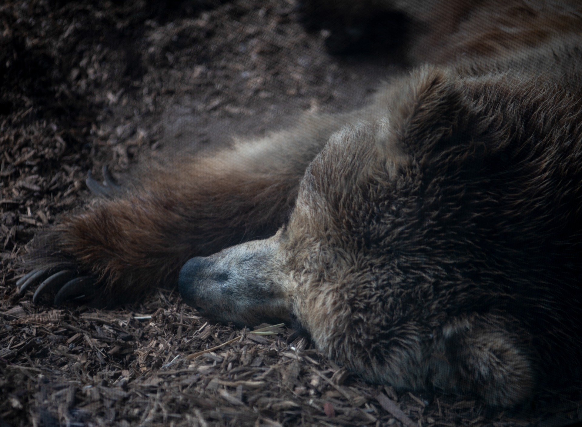 Denver Zoo in Denver, Colorado