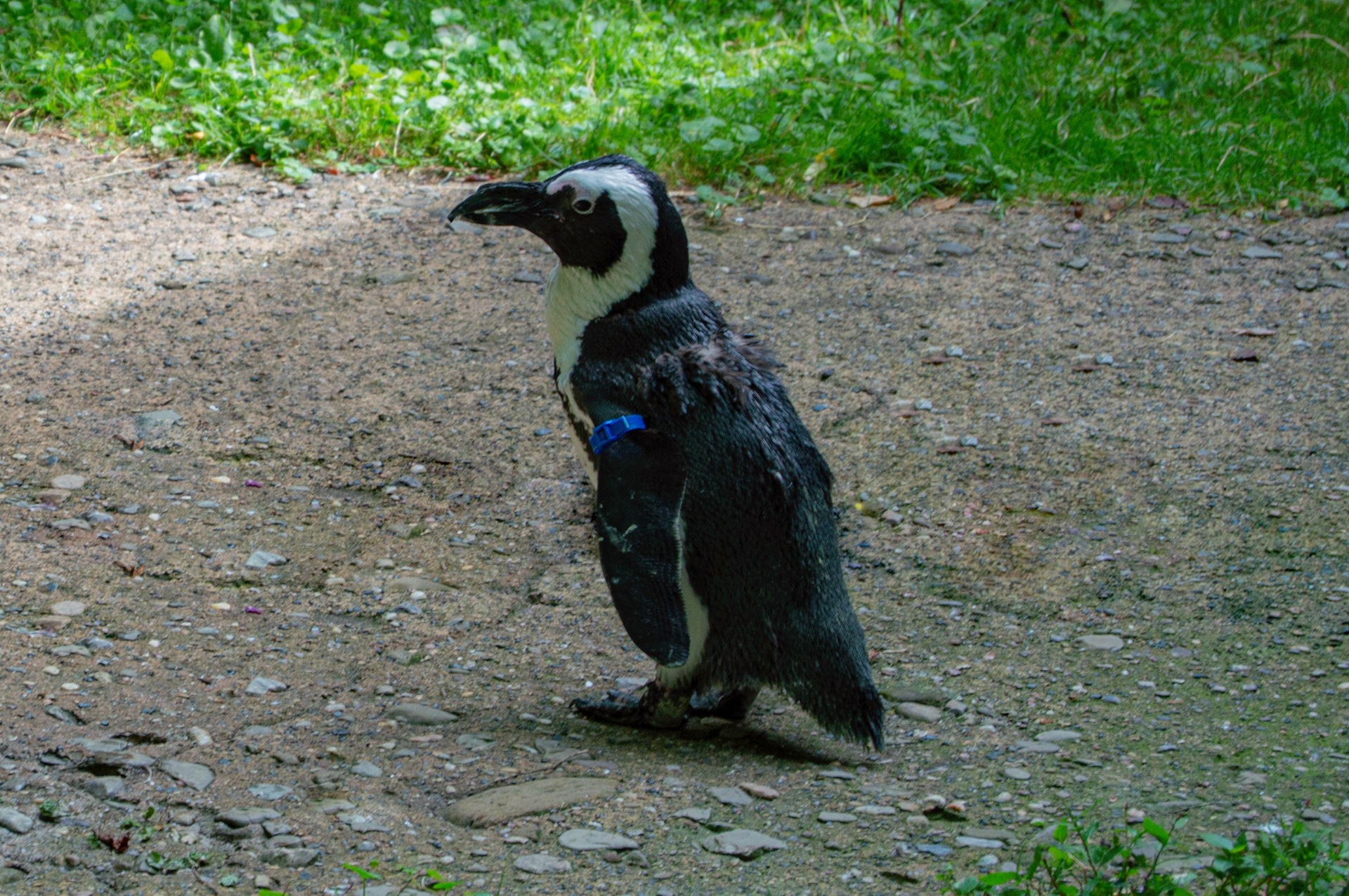 Erie Zoo in Erie, Pennsylvania
