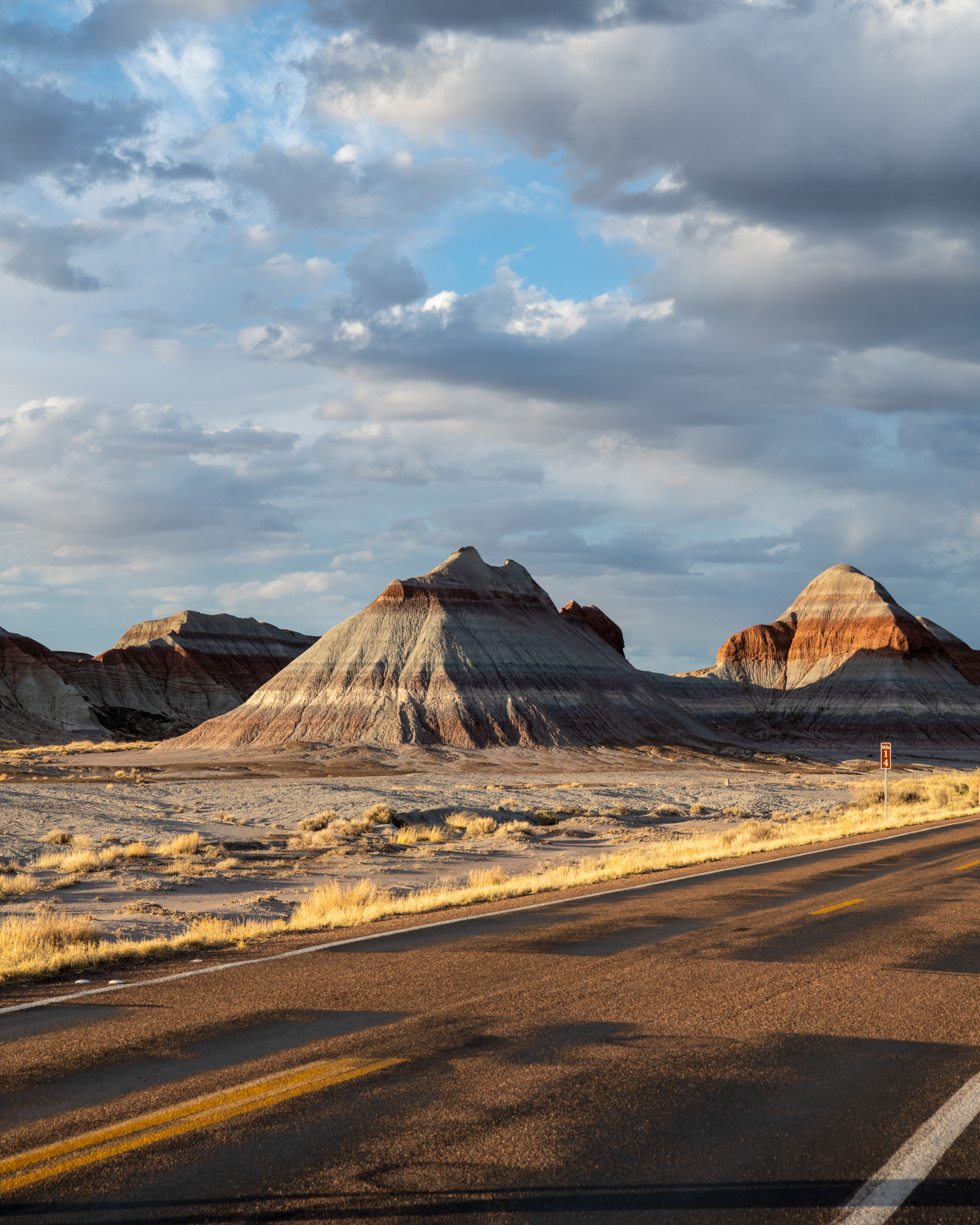 Petrified Forest, Arizona