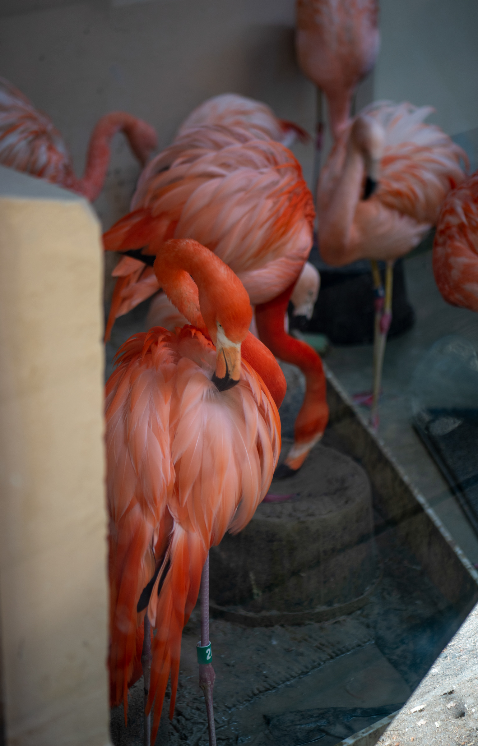 Denver Zoo in Denver, Colorado