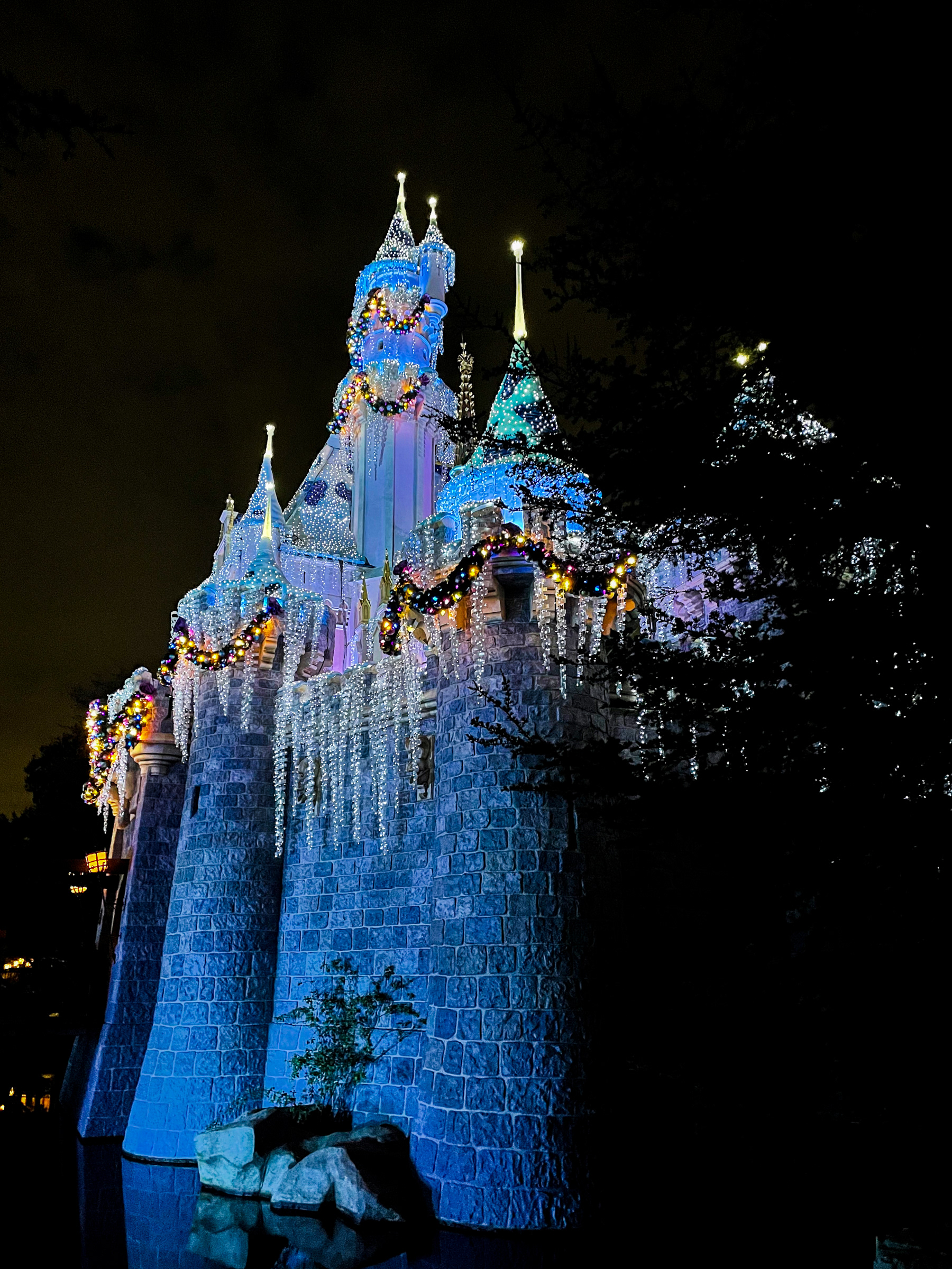 Sleeping Beauty's Castle