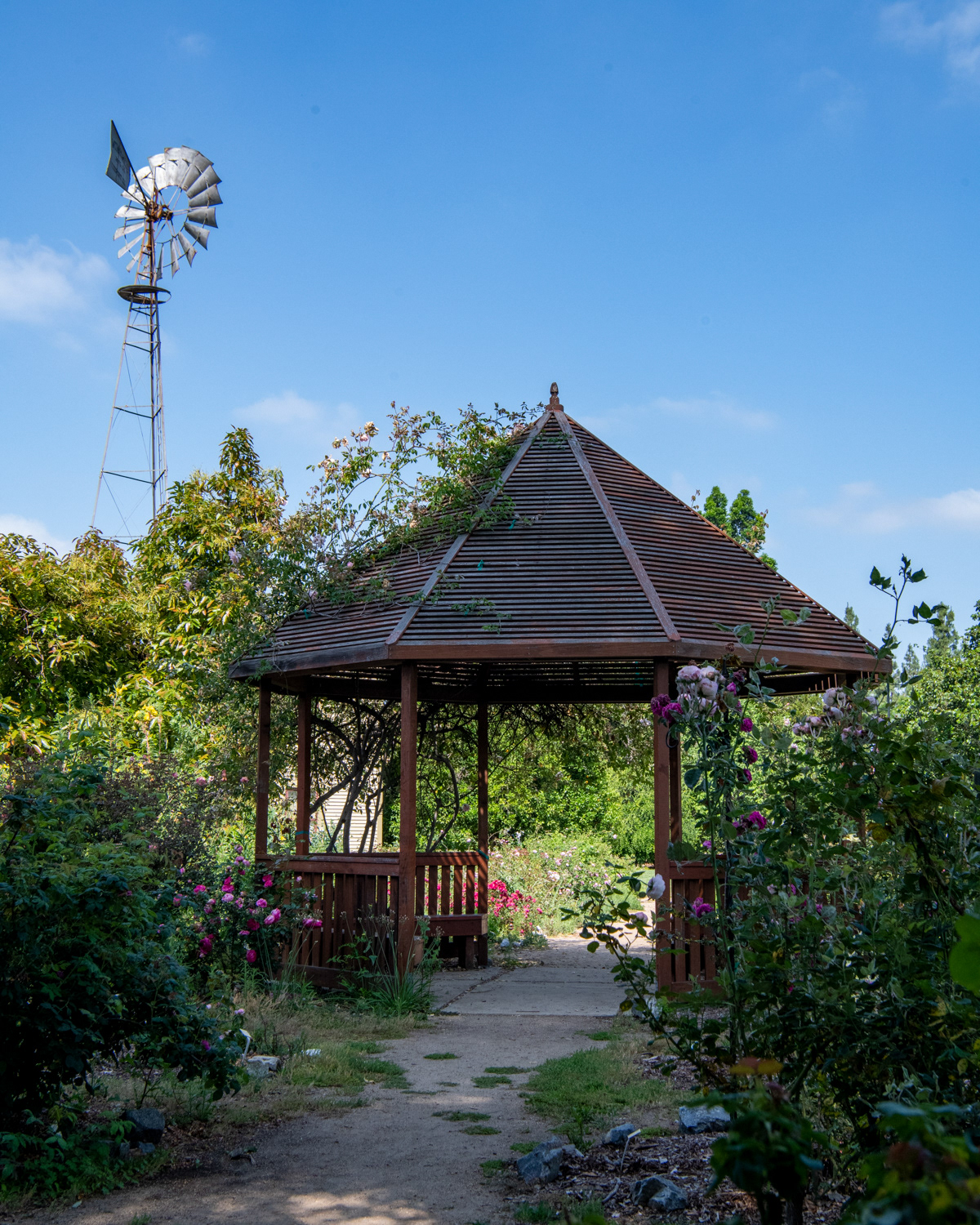 California State Fullerton Arboretum 