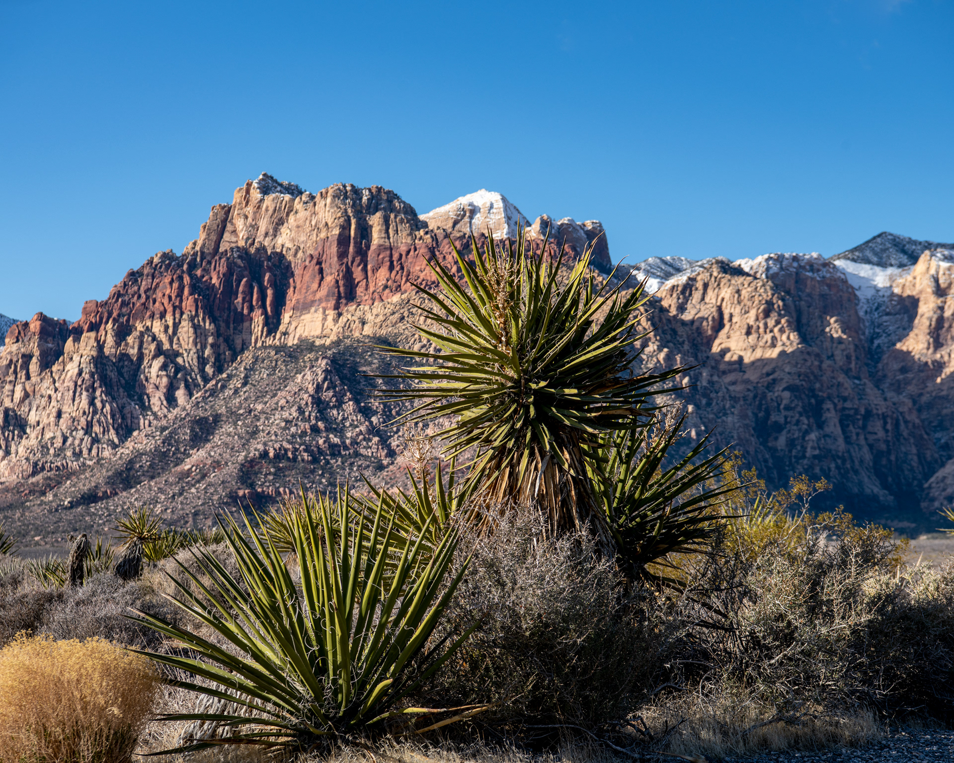 Red Rock Canyon in Las Vegas, Nevada