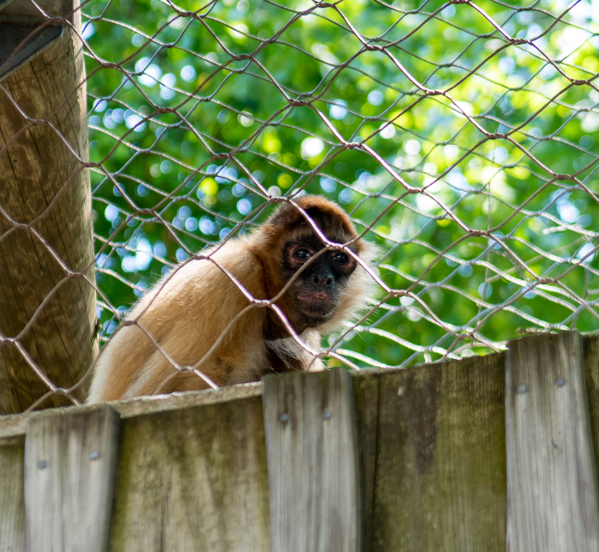 Erie Zoo in Erie, Pennsylvania