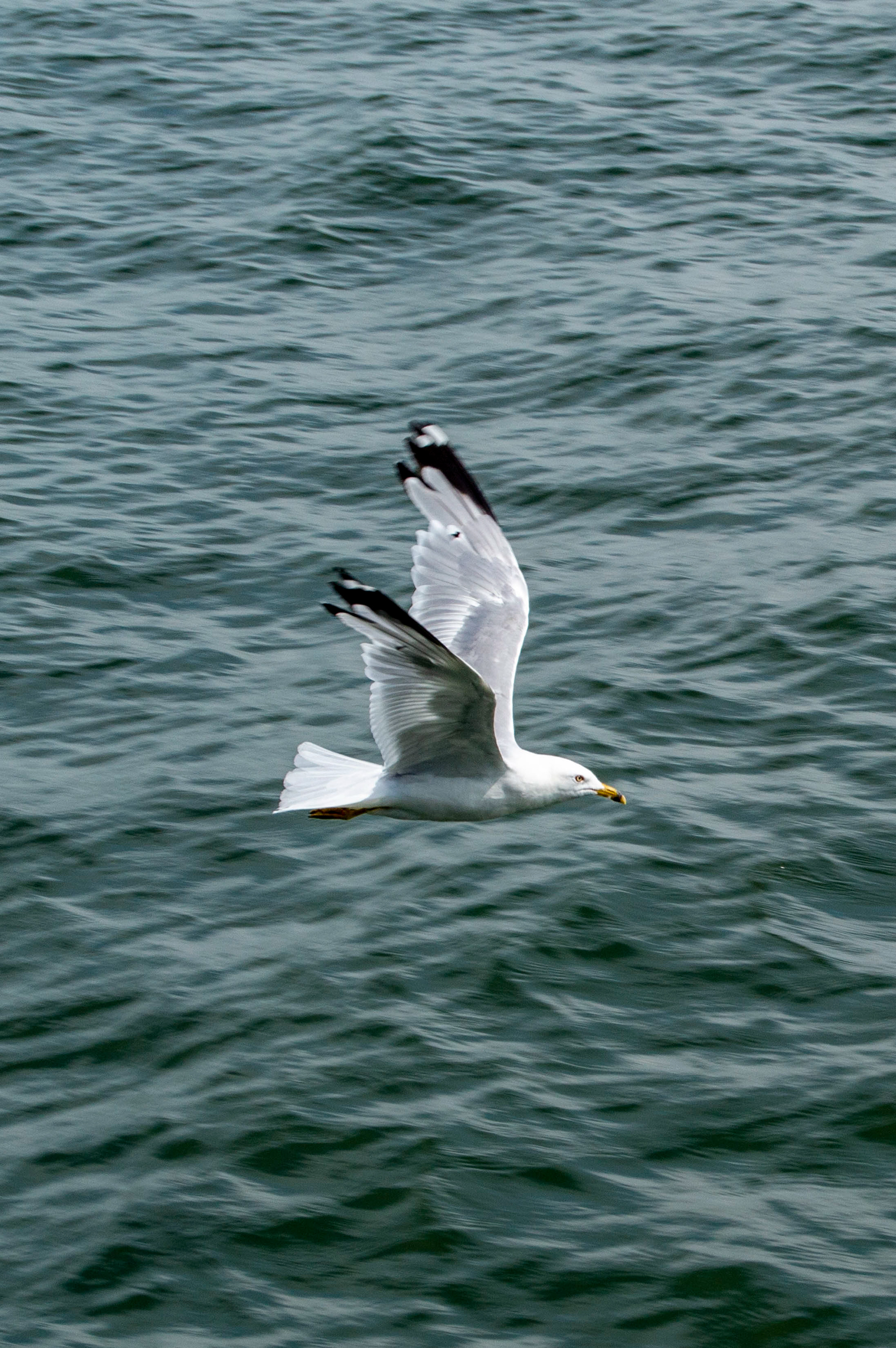 Presque Isle State Park in Erie, Pennsylvania