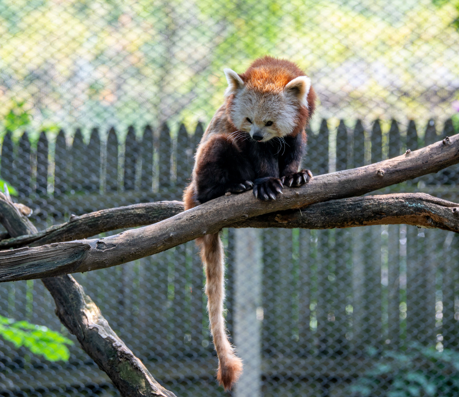 Erie Zoo in Erie, Pennsylvania