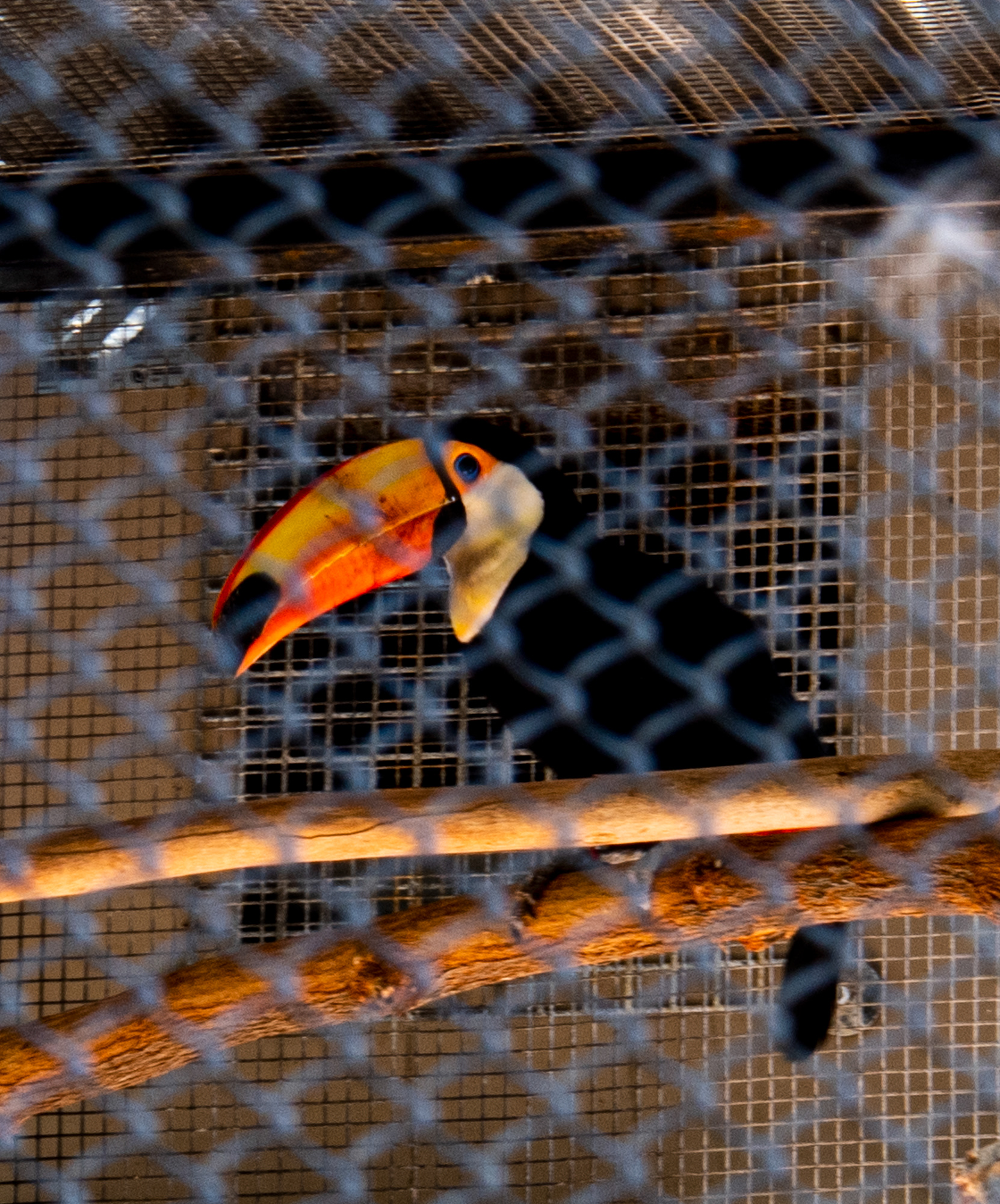 Phoenix Zoo in Phoenix, Arizona