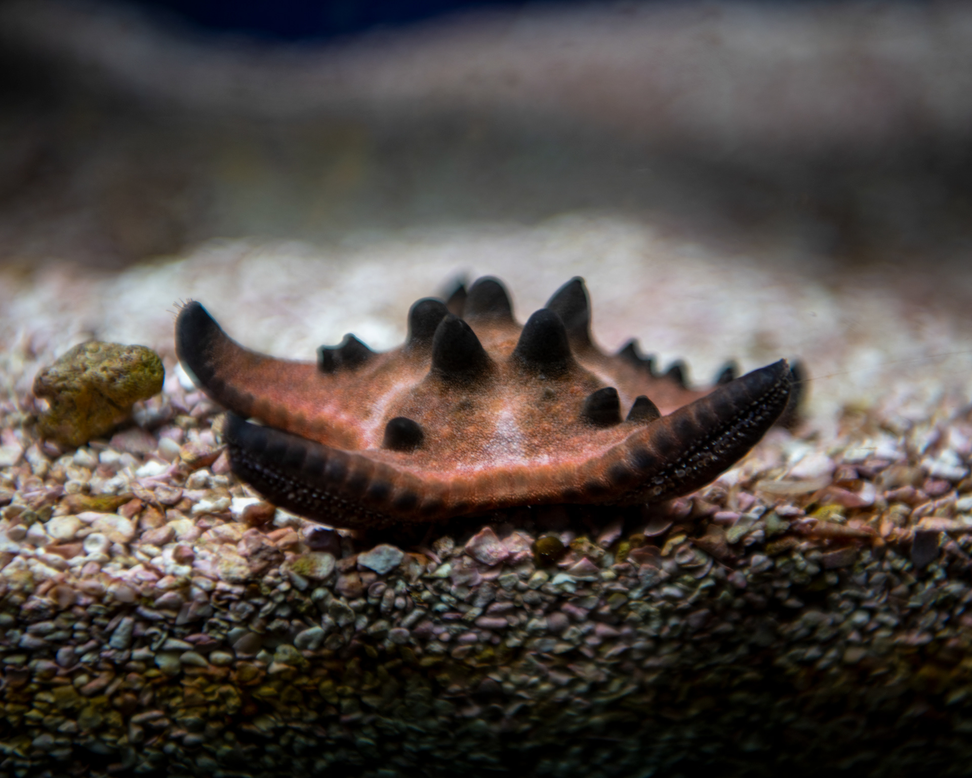 Denver Zoo in Denver, Colorado