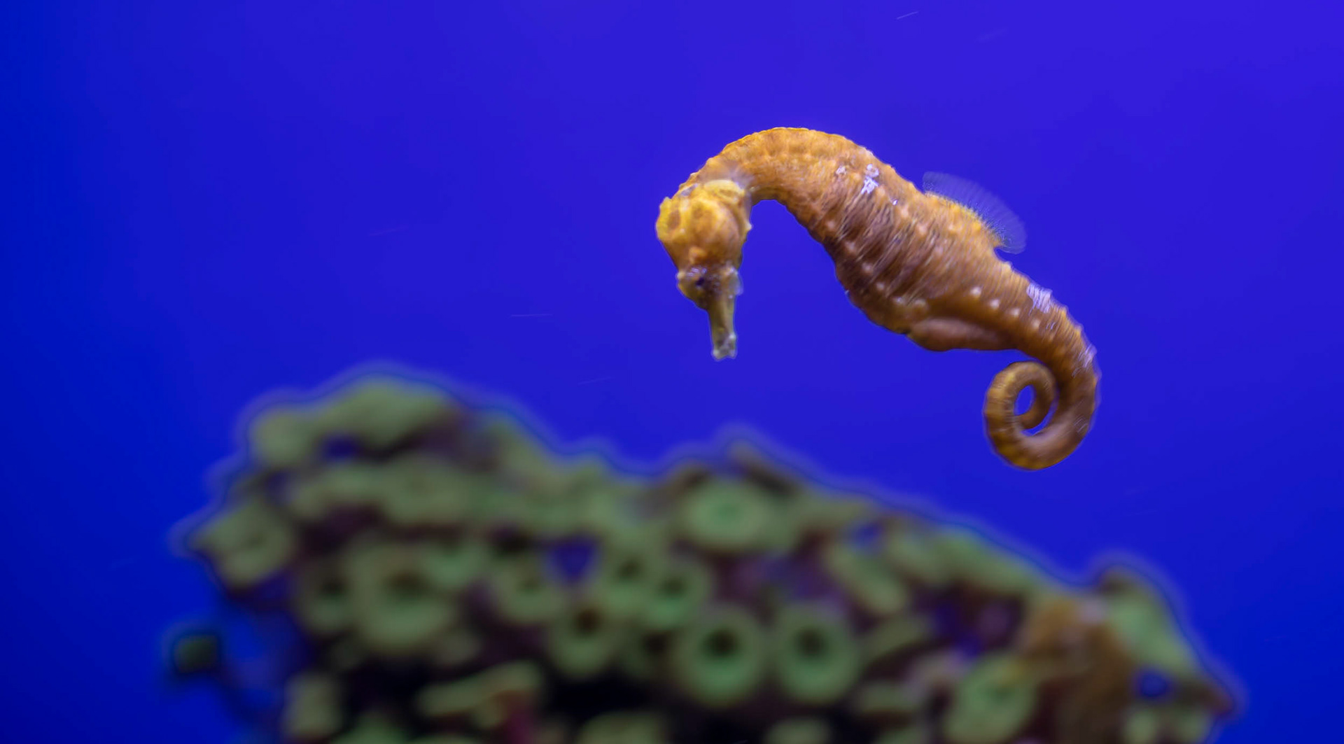 Downtown Aquarium in Denver, Colorado