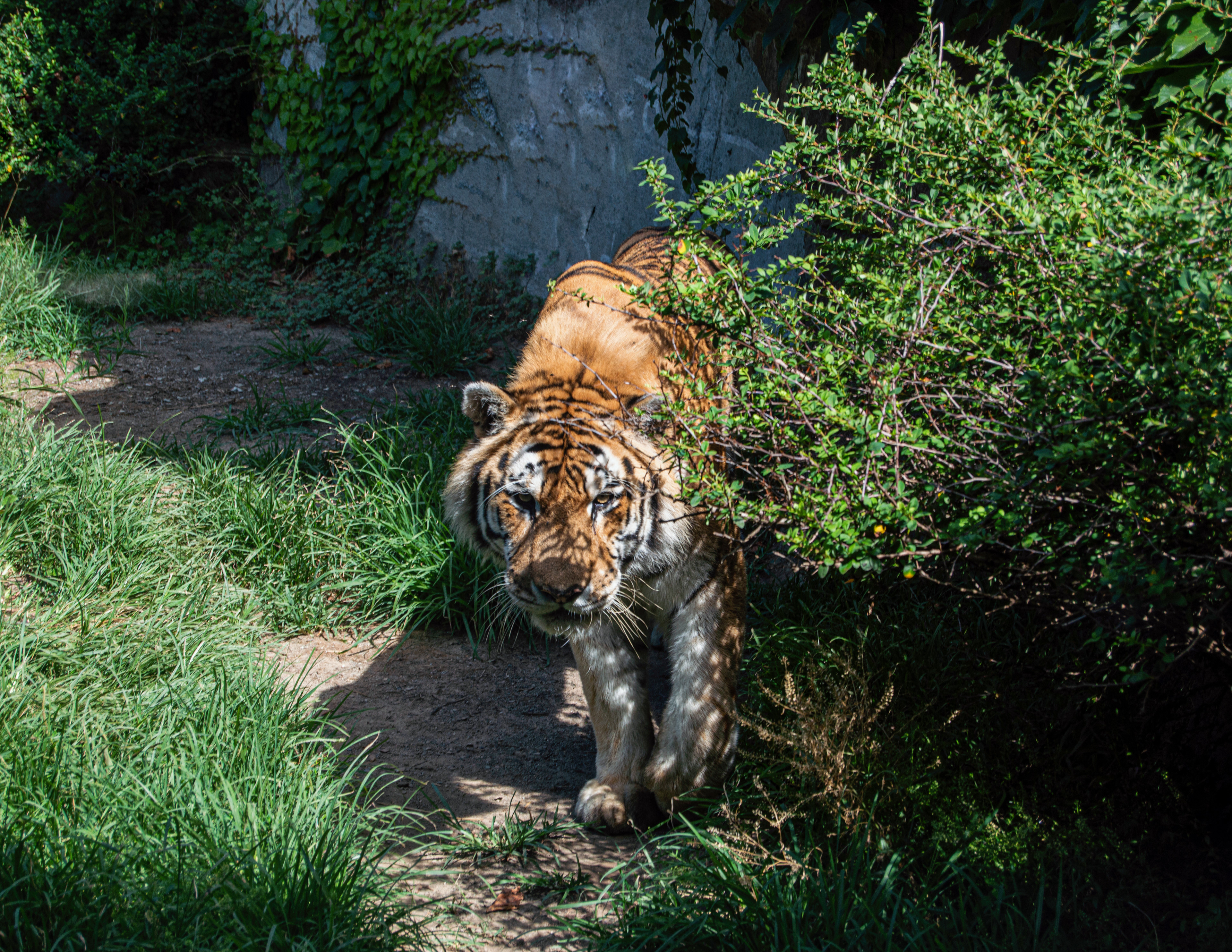 Erie Zoo in Erie, Pennsylvania