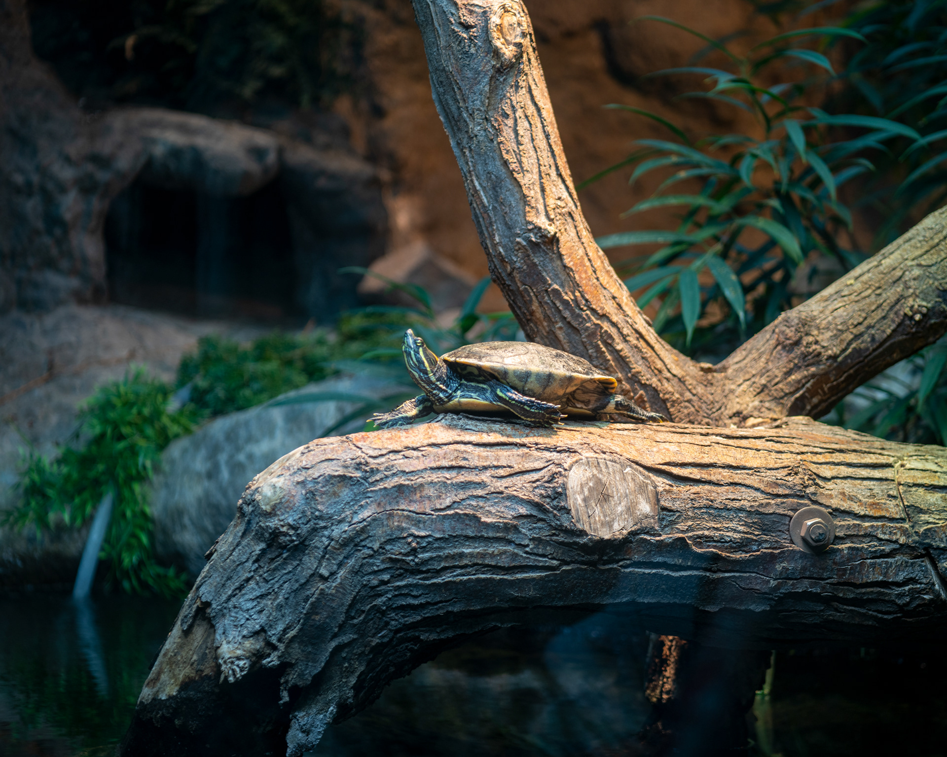 Denver Zoo in Denver, Colorado