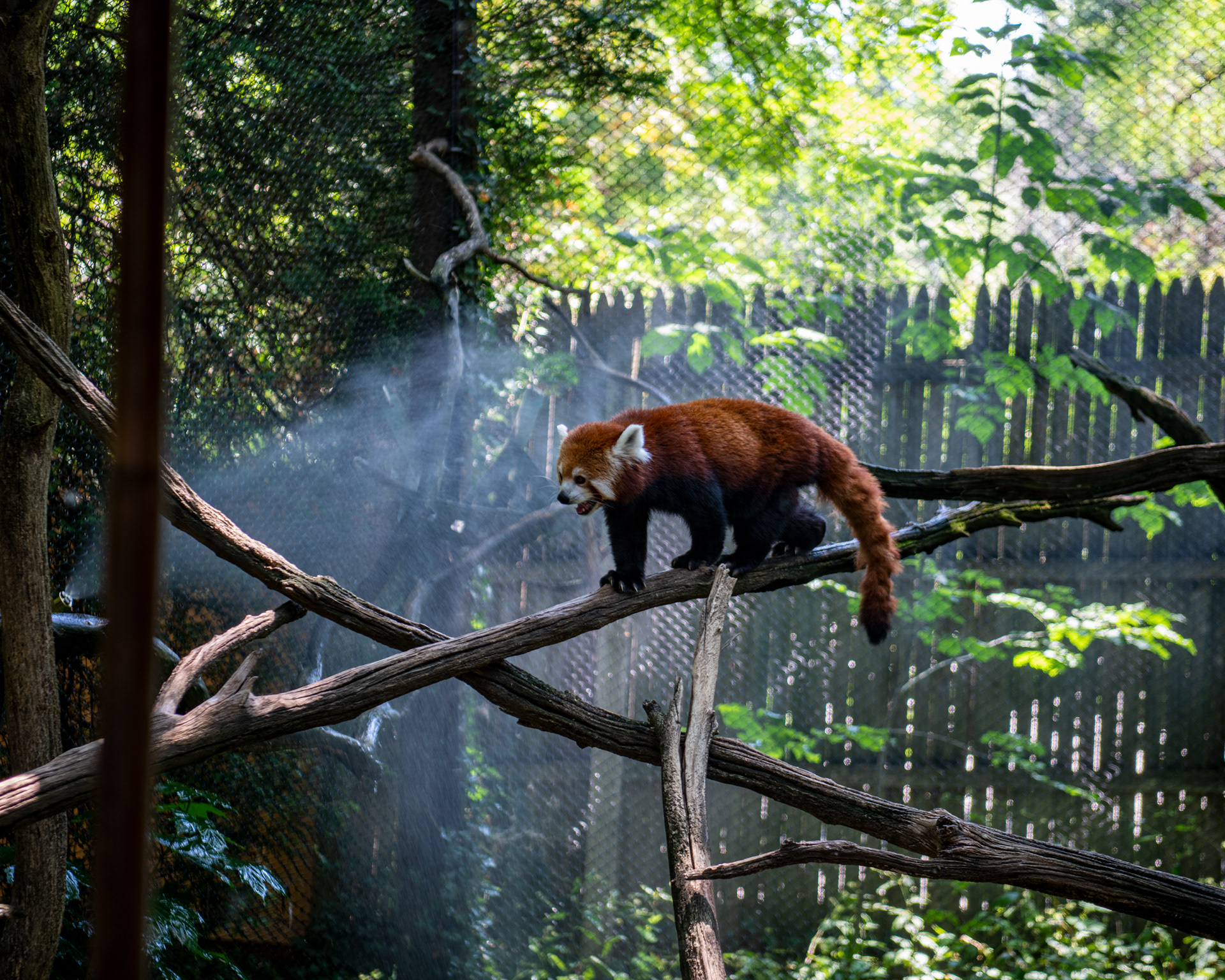 Erie Zoo in Erie, Pennsylvania
