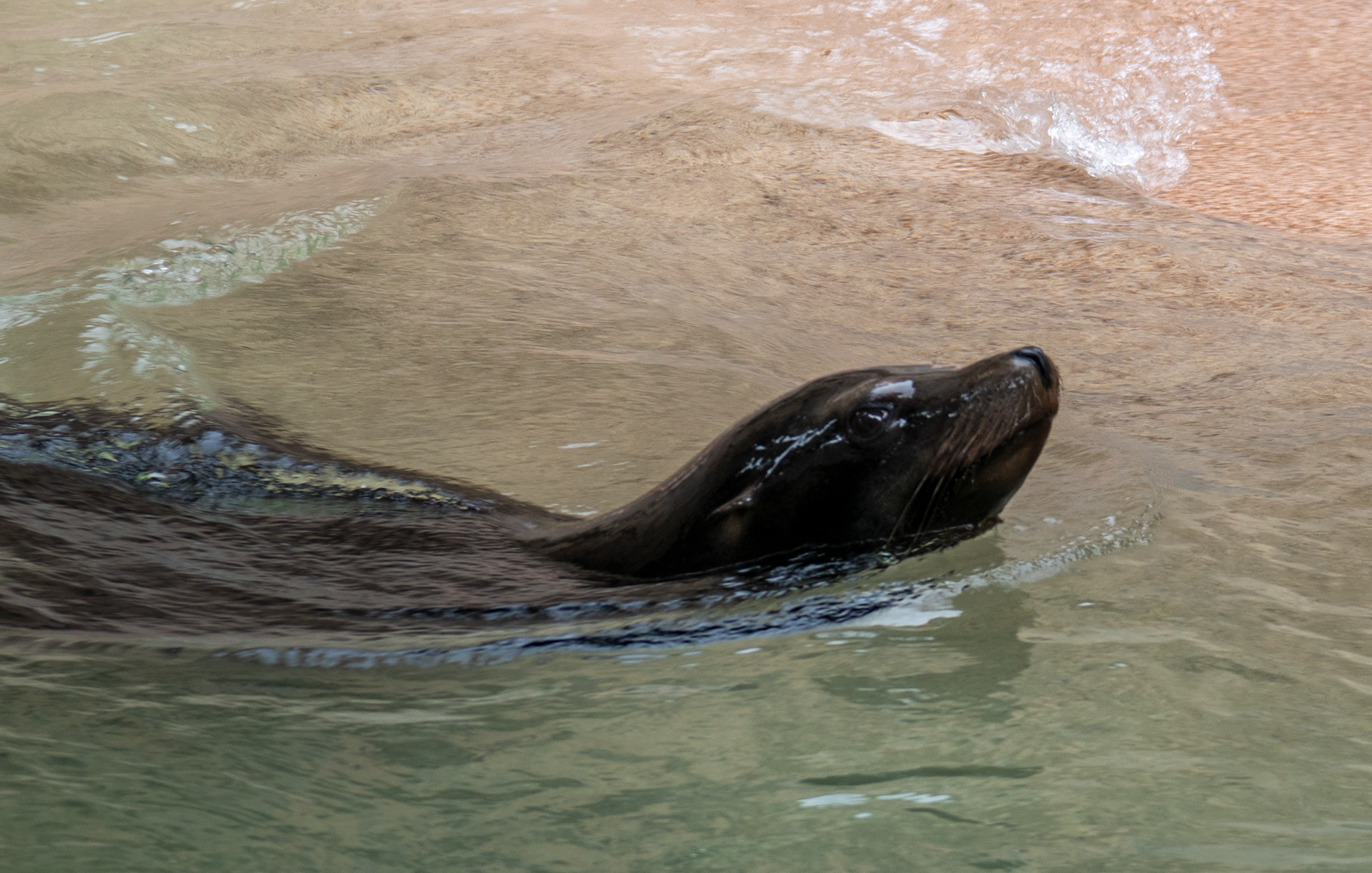 Denver Zoo in Denver, Colorado