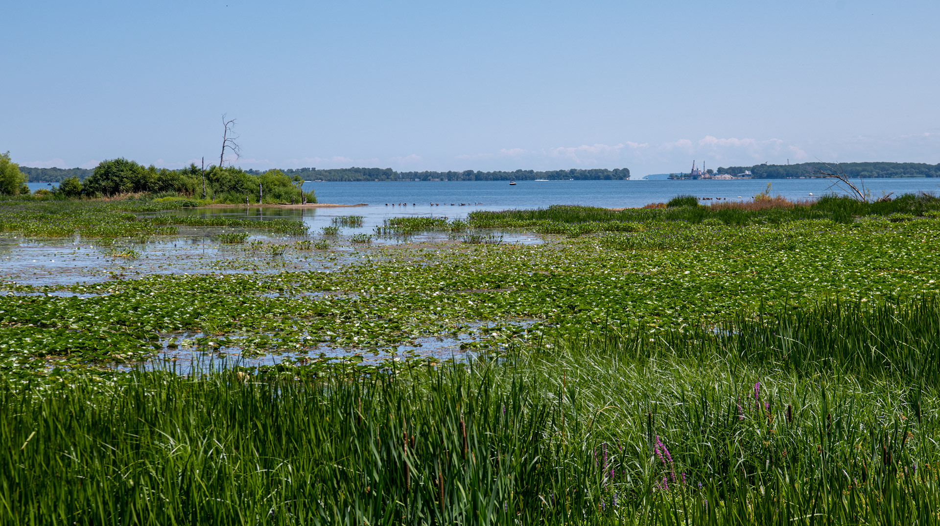  Presque Isle State Park in Erie, Pennsylvania
