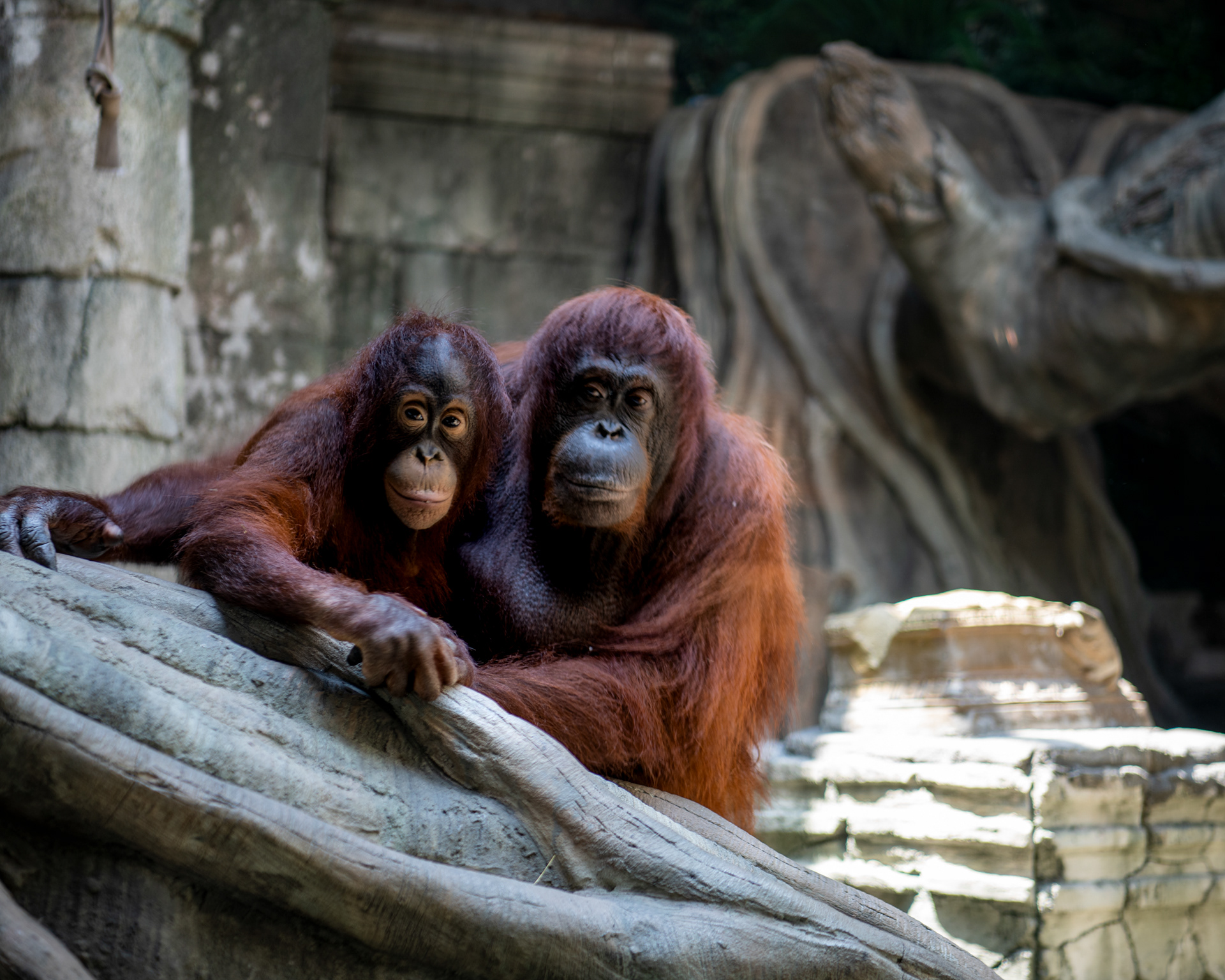 Erie Zoo in Erie, Pennsylvania