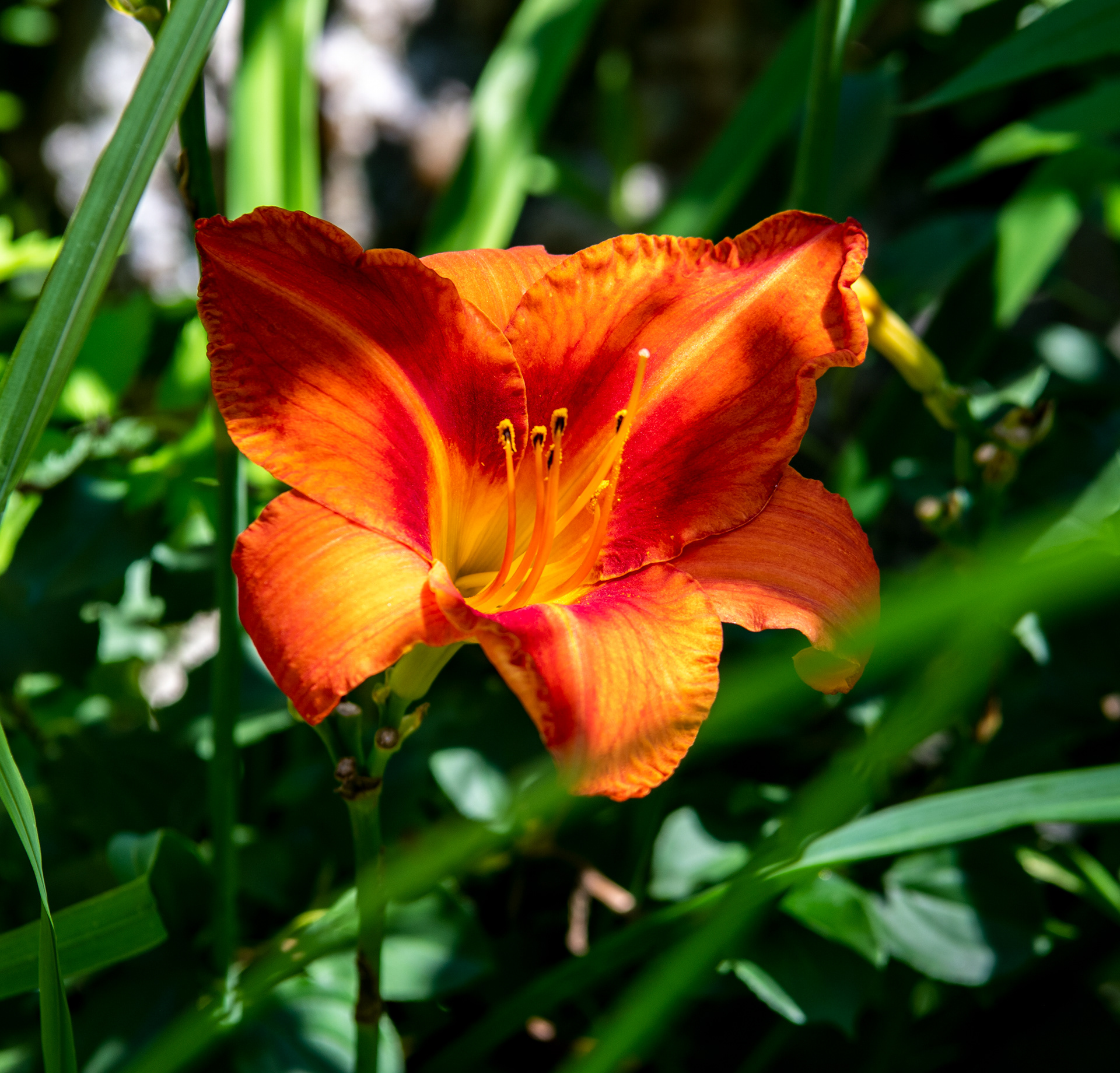 Erie Zoo in Erie, Pennsylvania