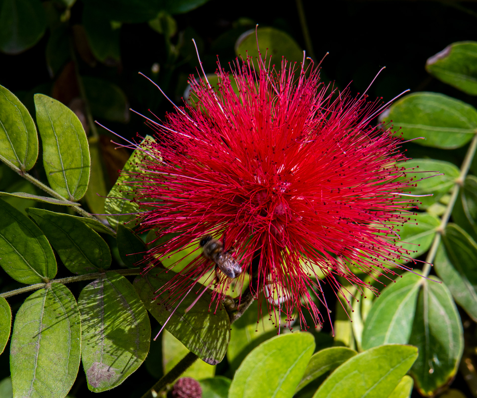  Phoenix Zoo in Phoenix, Arizona