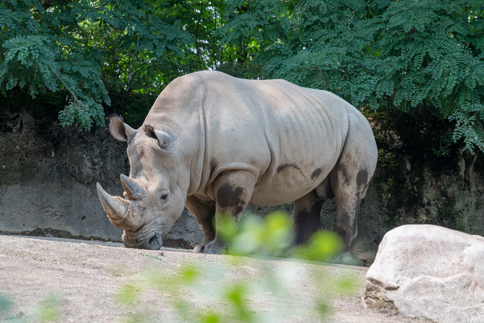 Erie Zoo in Erie, Pennsylvania