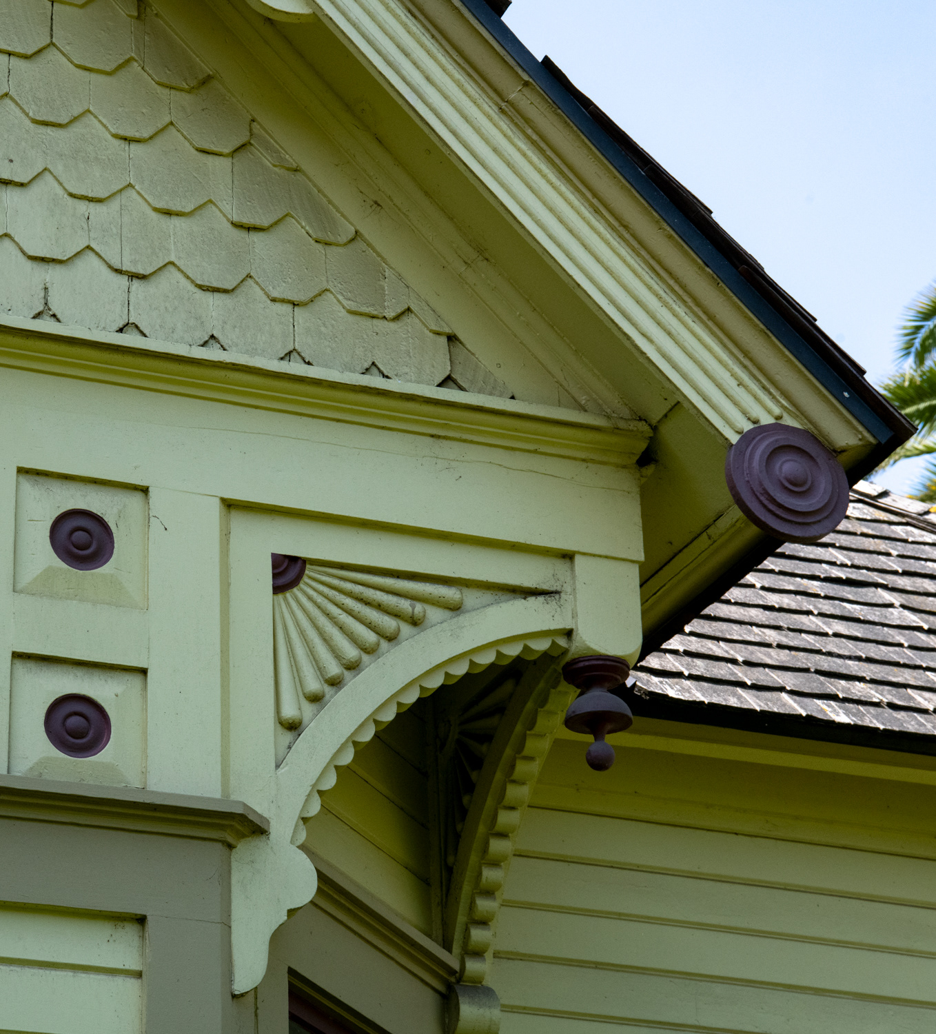 California State Fullerton Arboretum 