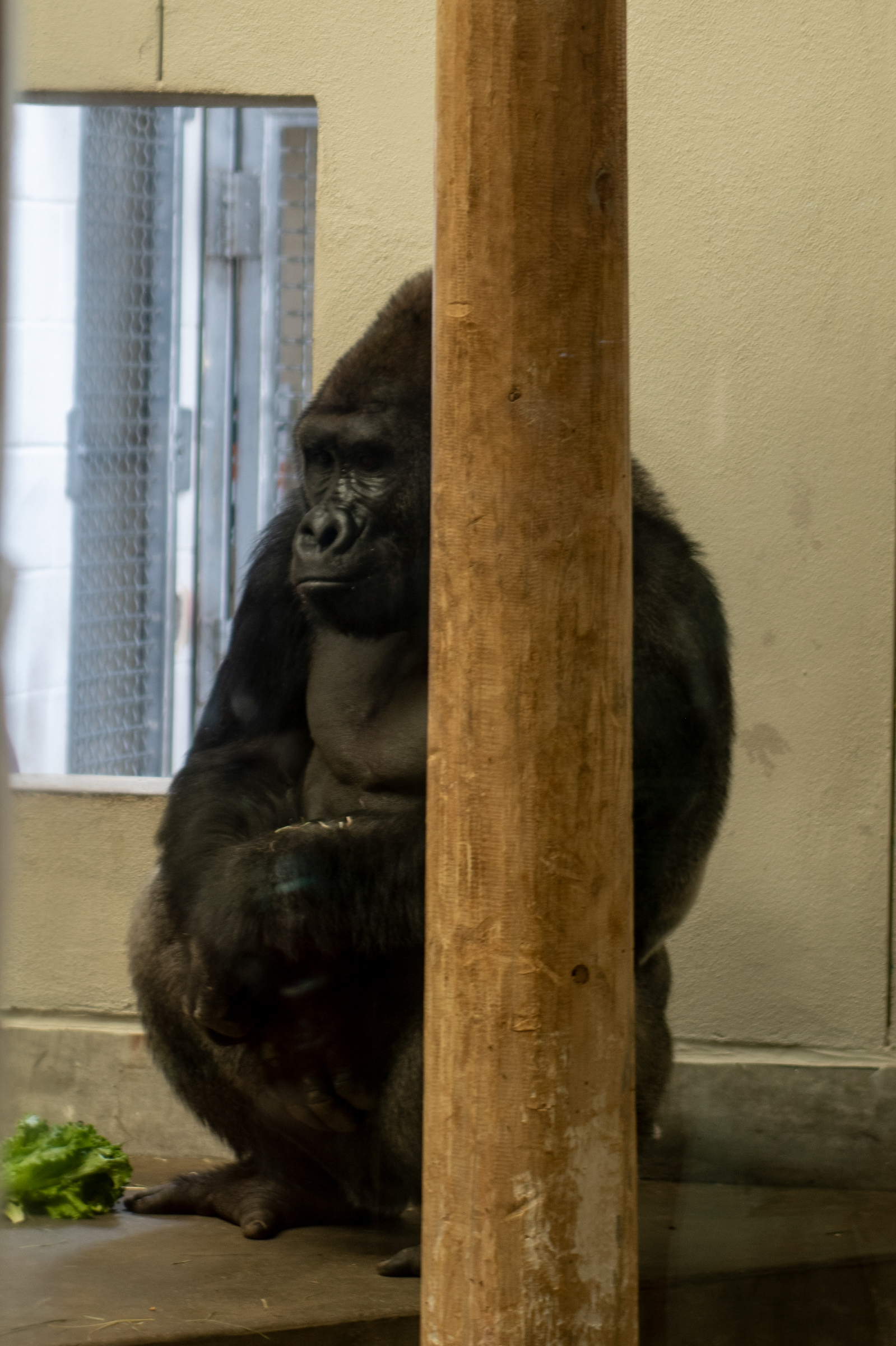 Denver Zoo in Denver, Colorado