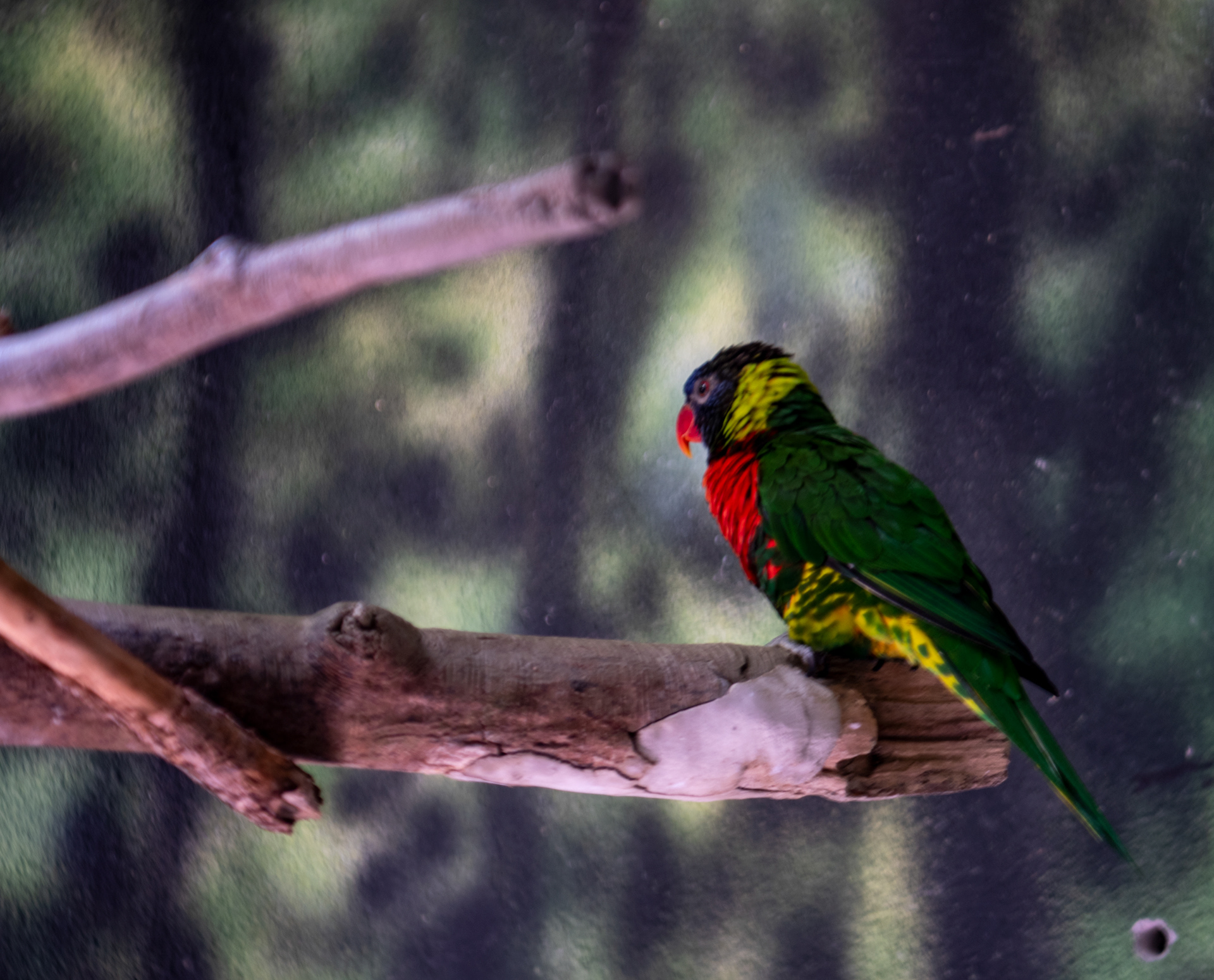 Denver Zoo in Denver, Colorado