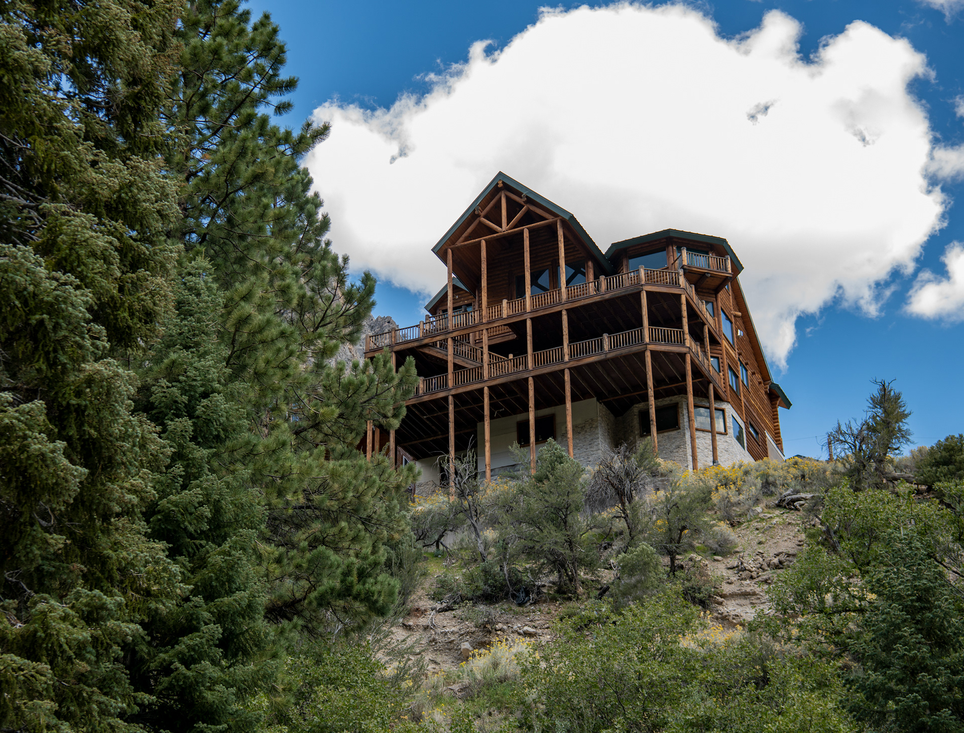 Mt. Charleston in Las Vegas, Nevada