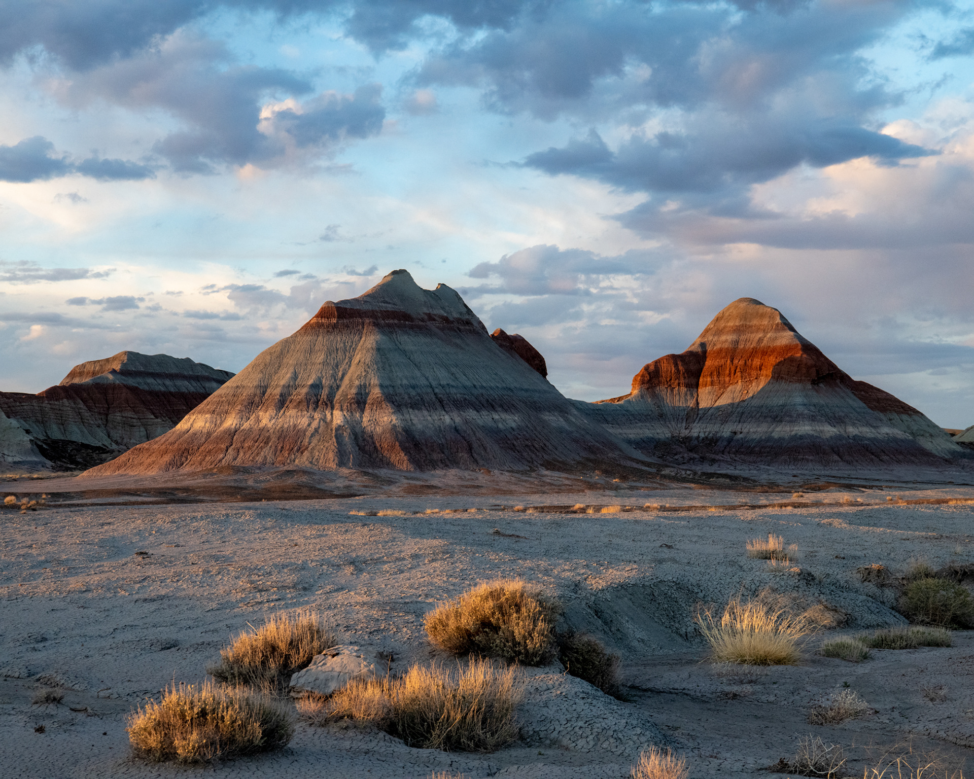 Petrified Forest, Arizona