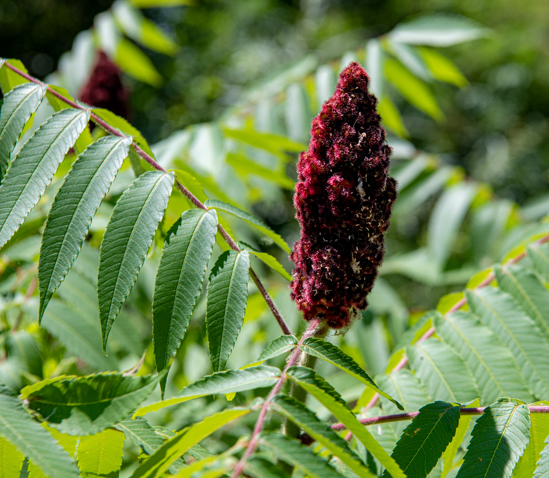  Presque Isle State Park in Erie, Pennsylvania