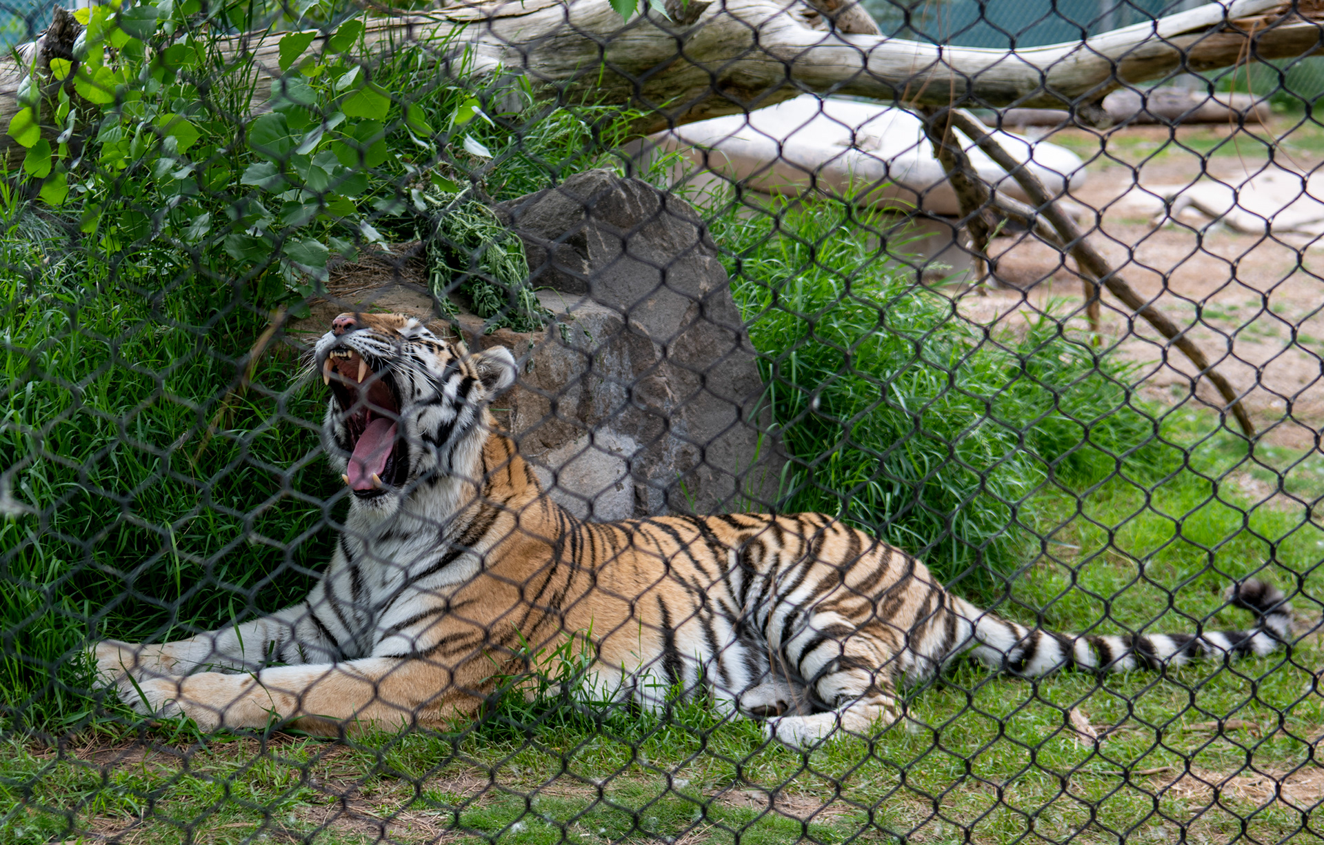 Denver Zoo in Denver, Colorado
