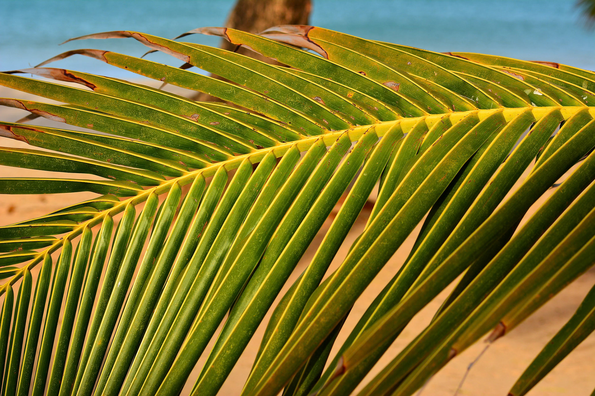 (c) Dima Chumak chumakd@gmail.com