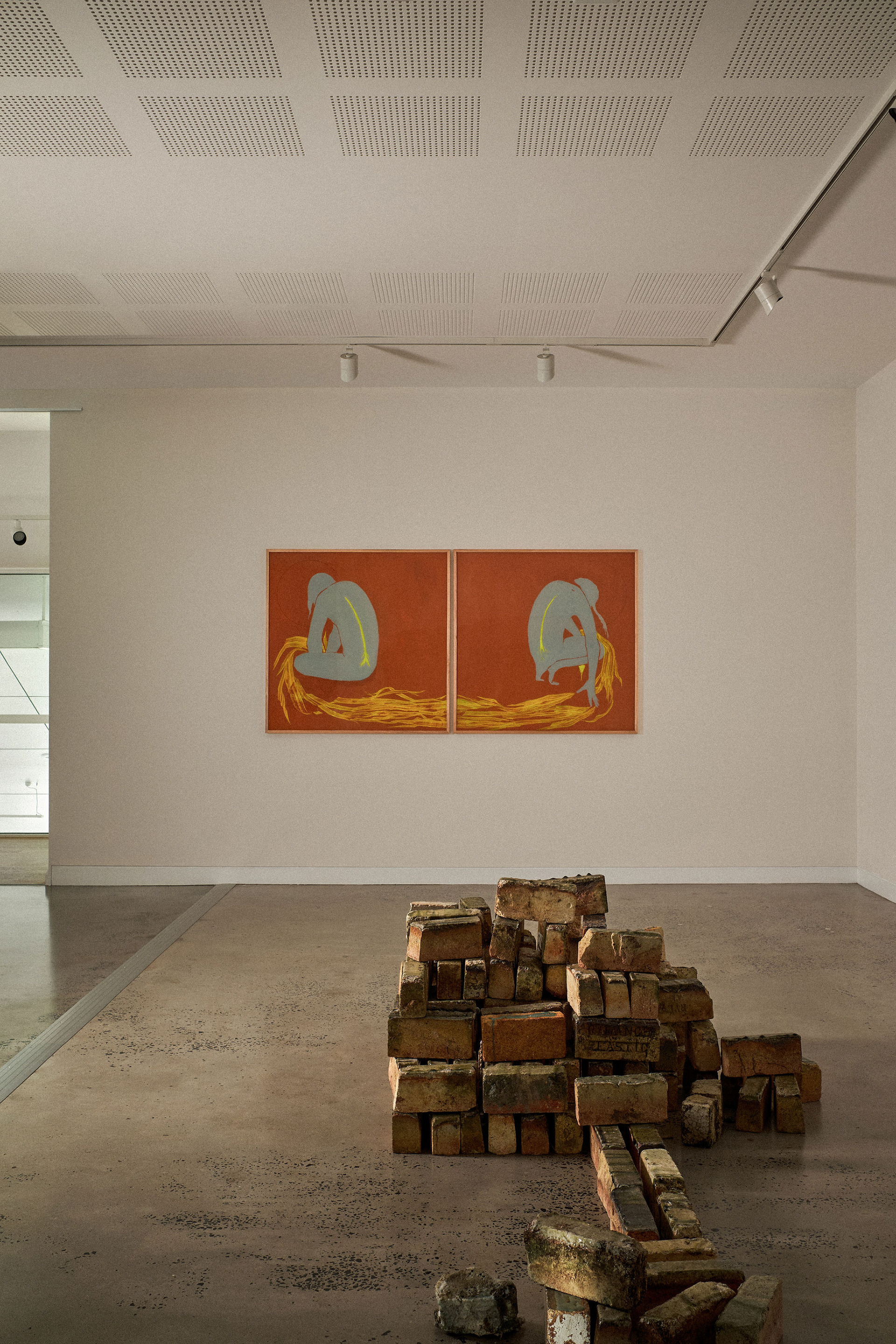 complex notophyll vine forest: ground truth 2026, install views. Lismore Regional Gallery. Photos Andy Macpherson.