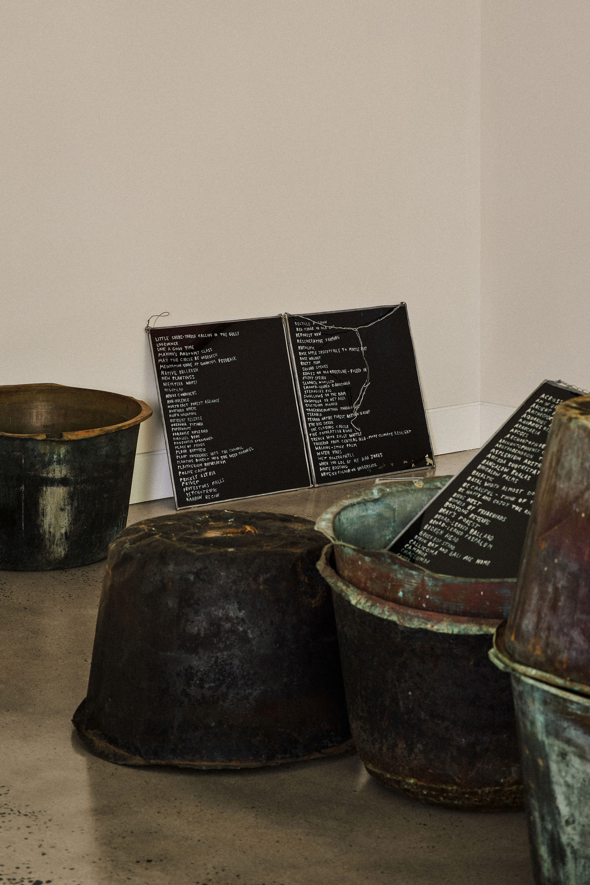 complex notophyll vine forest: ground truth 2026, install views. Lismore Regional Gallery. Photos Andy Macpherson.