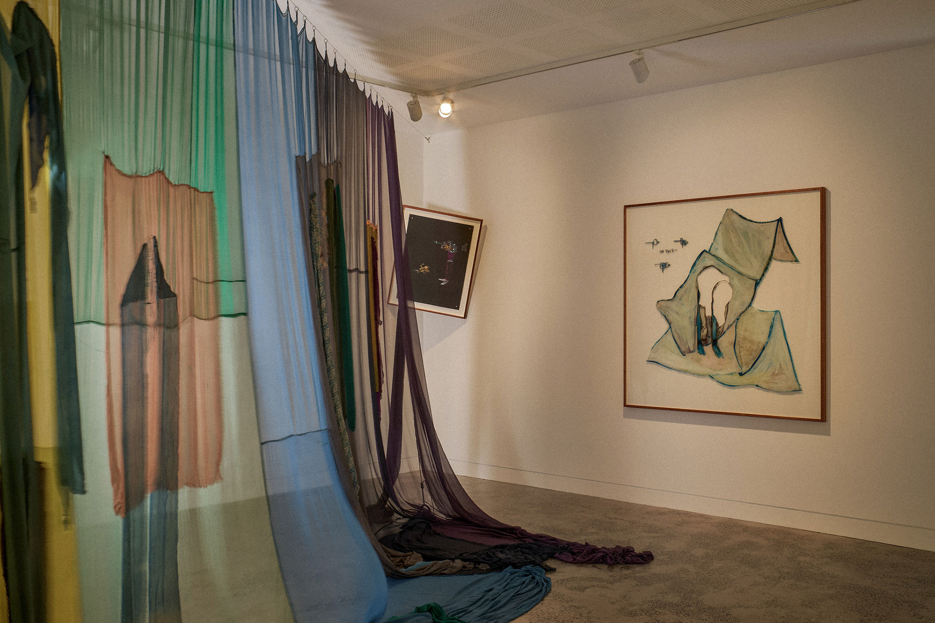 complex notophyll vine forest: ground truth 2026, install views. Lismore Regional Gallery. Photos Andy Macpherson.