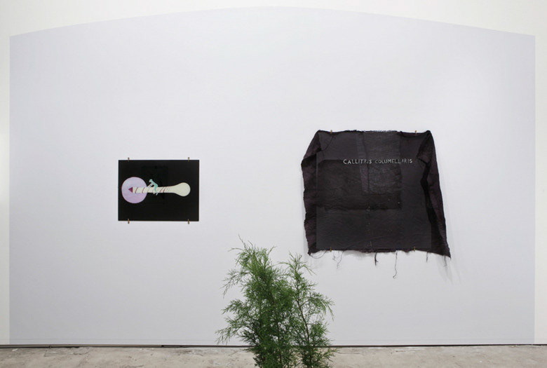 Installation view