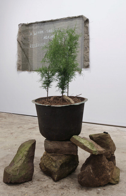 Installation view