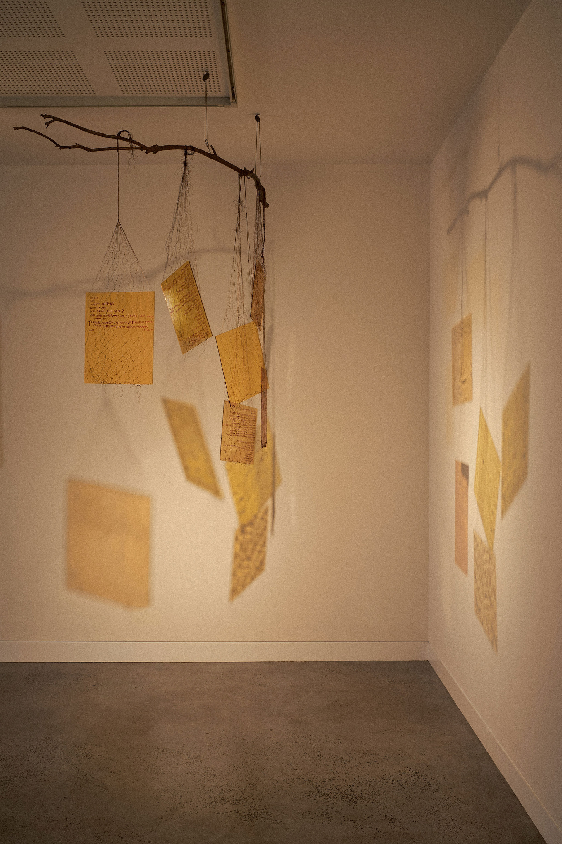 complex notophyll vine forest: ground truth 2026, install views. Lismore Regional Gallery. Photos Andy Macpherson.