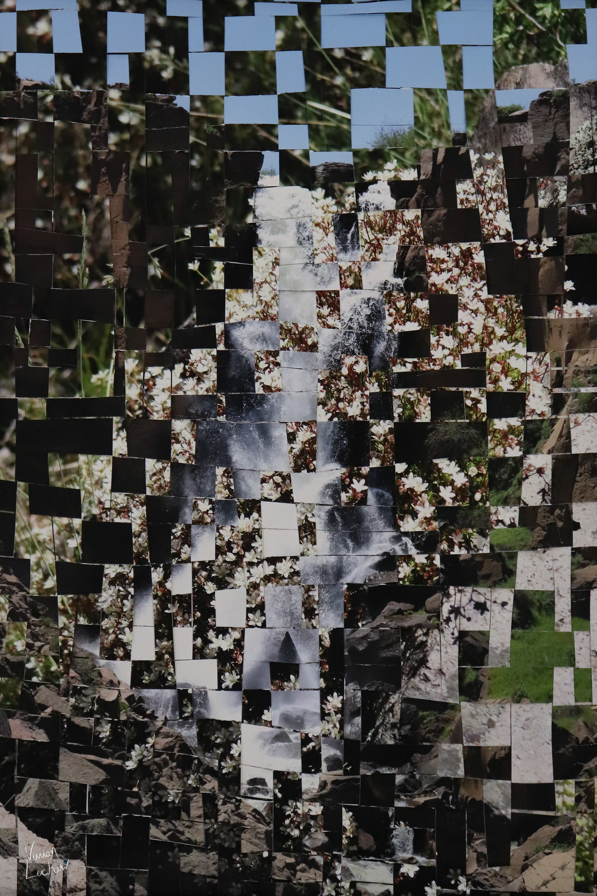 Weave of images taken at North Clear Creek Falls, CO, USA.