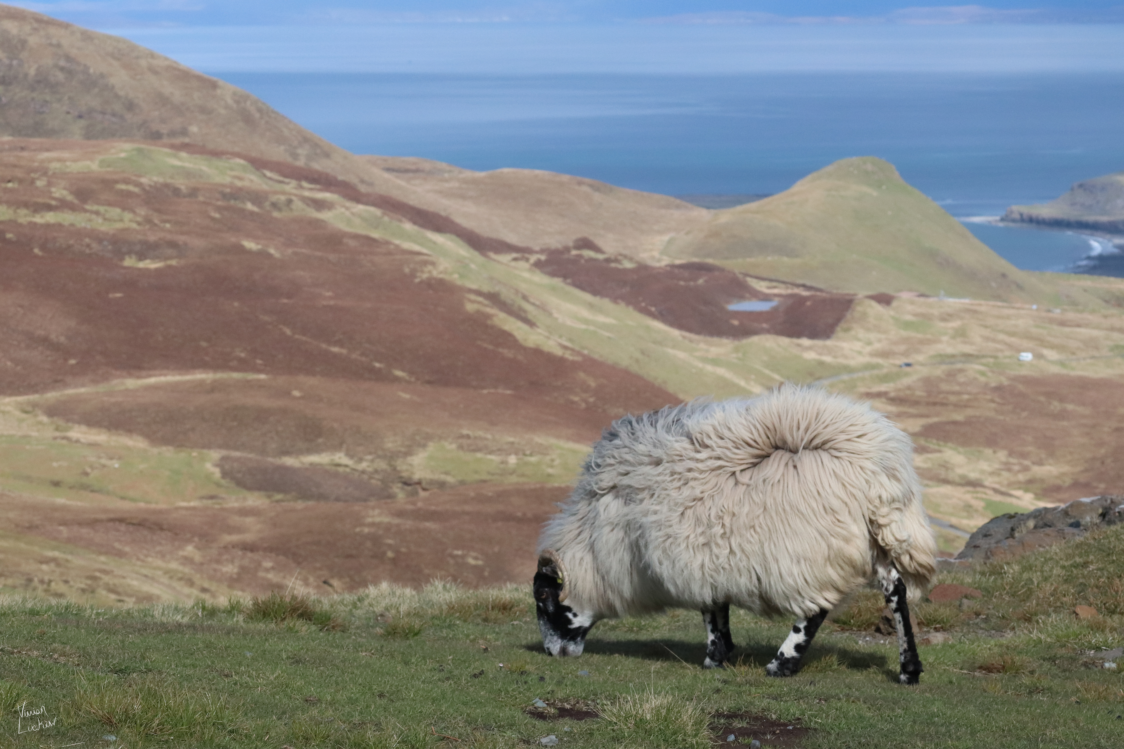 Quiraing Nature Reserve, Isle of Skye, UK.