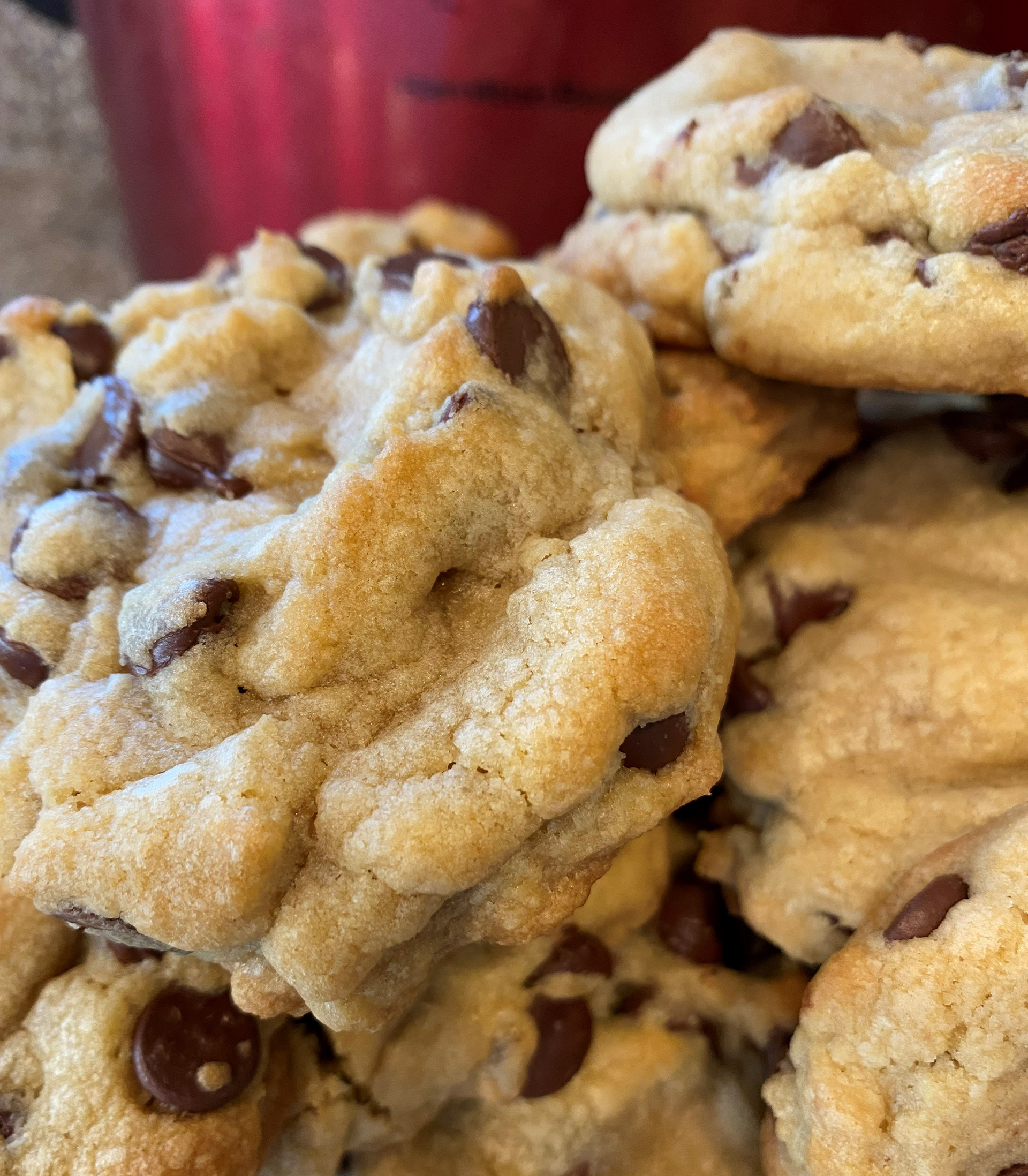 Chocolate Chip