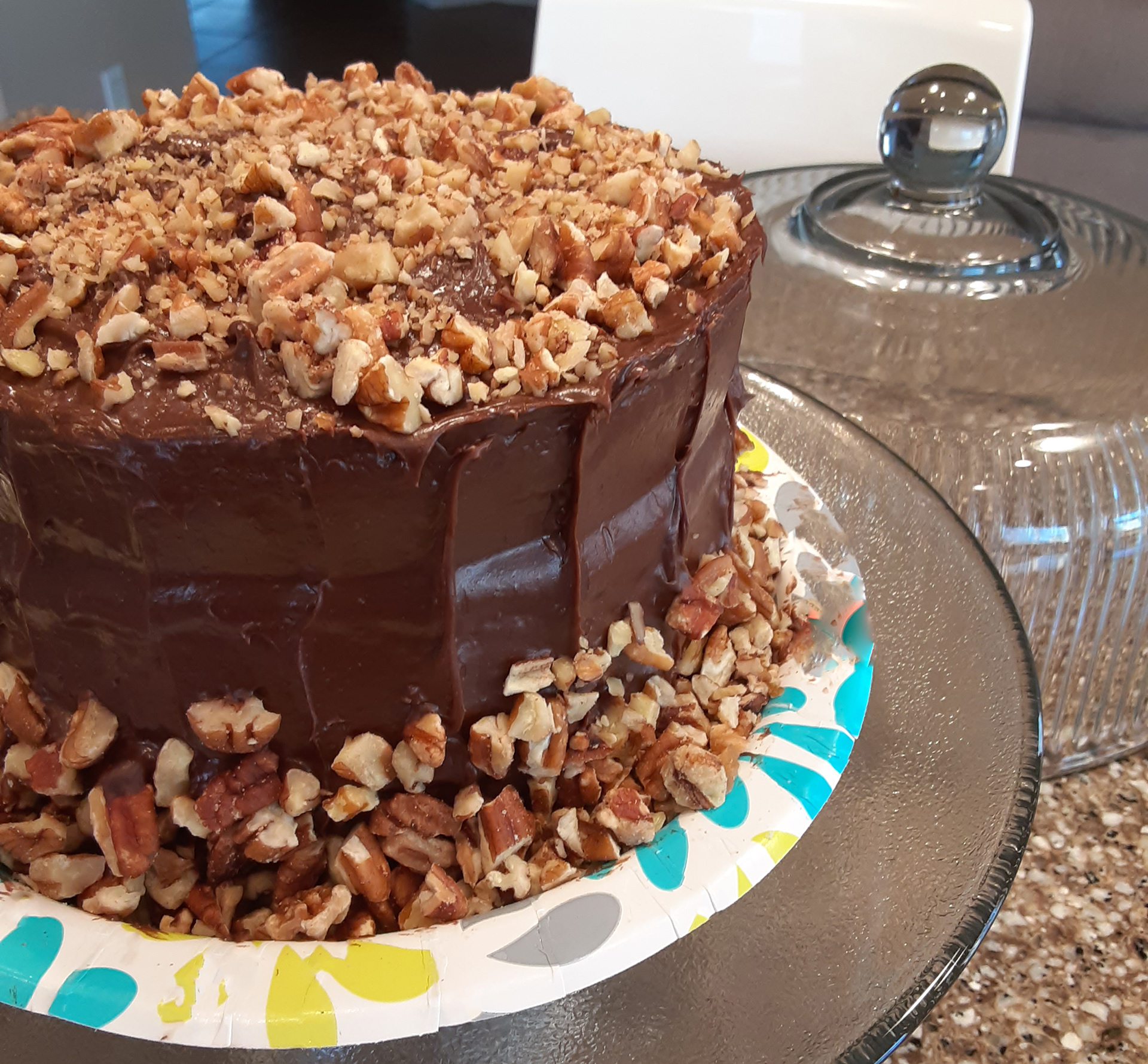 Yellow Cake w/Chocolate Frosting & Toasted Pecans