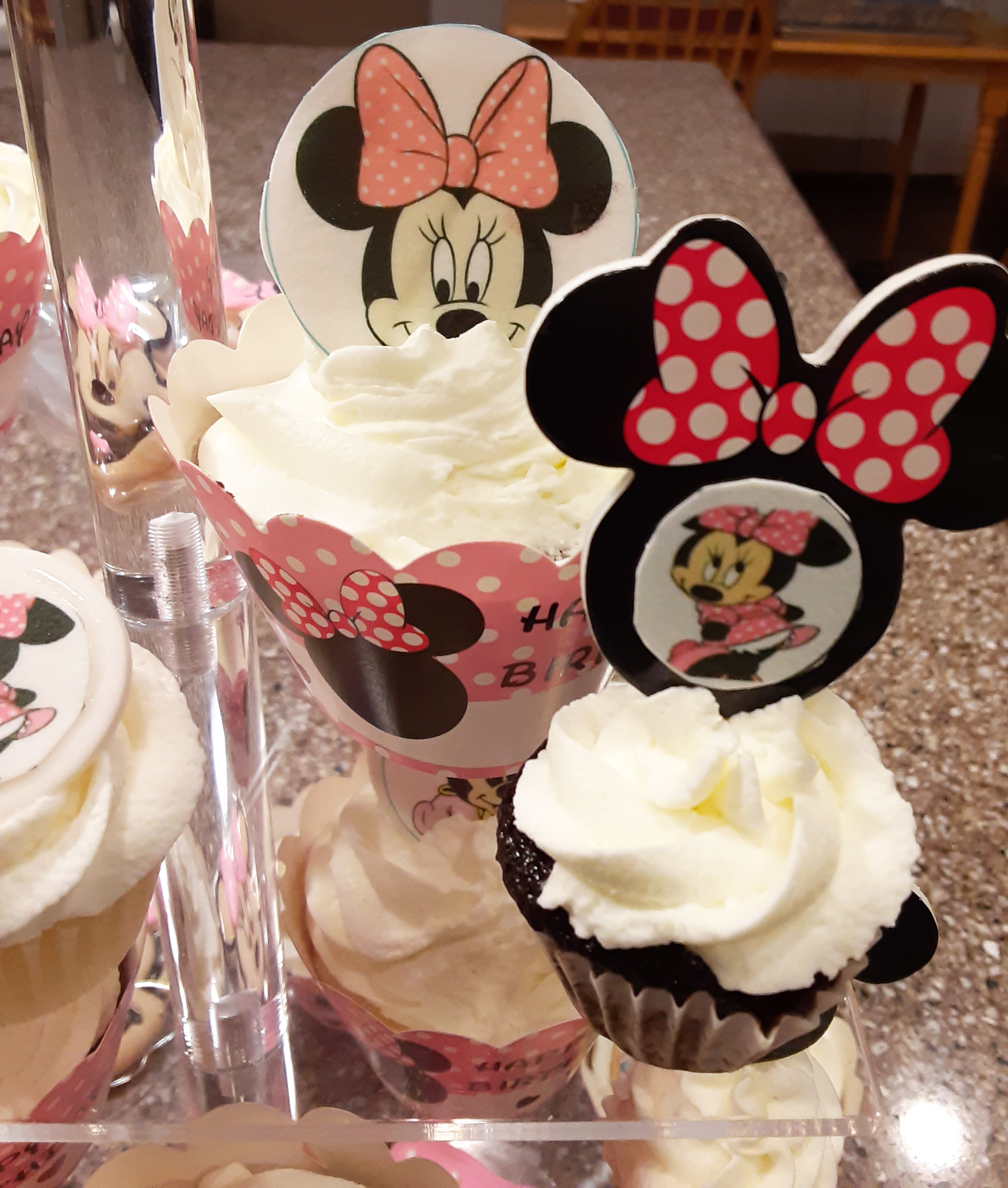 Minnie Mouse Vanilla & Chocolate w/Whipped Cream Frosting