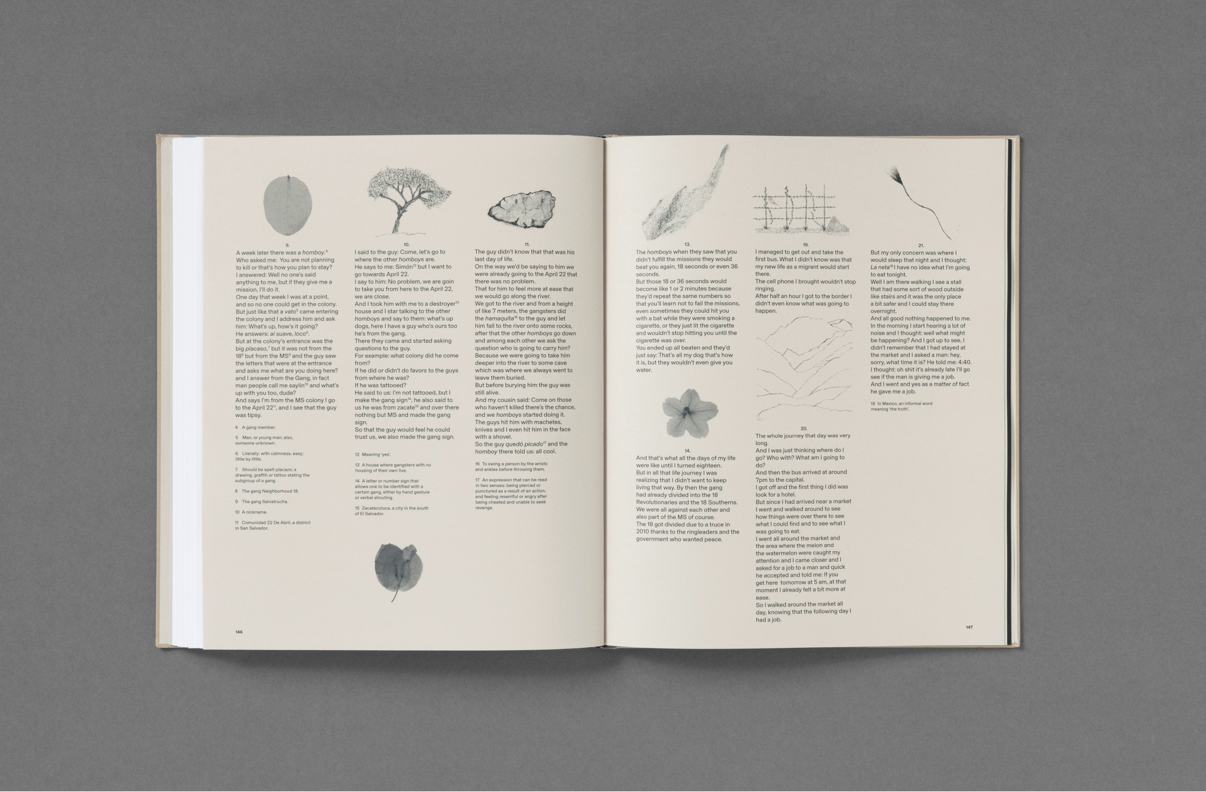 Fotografía cortesia del Autor