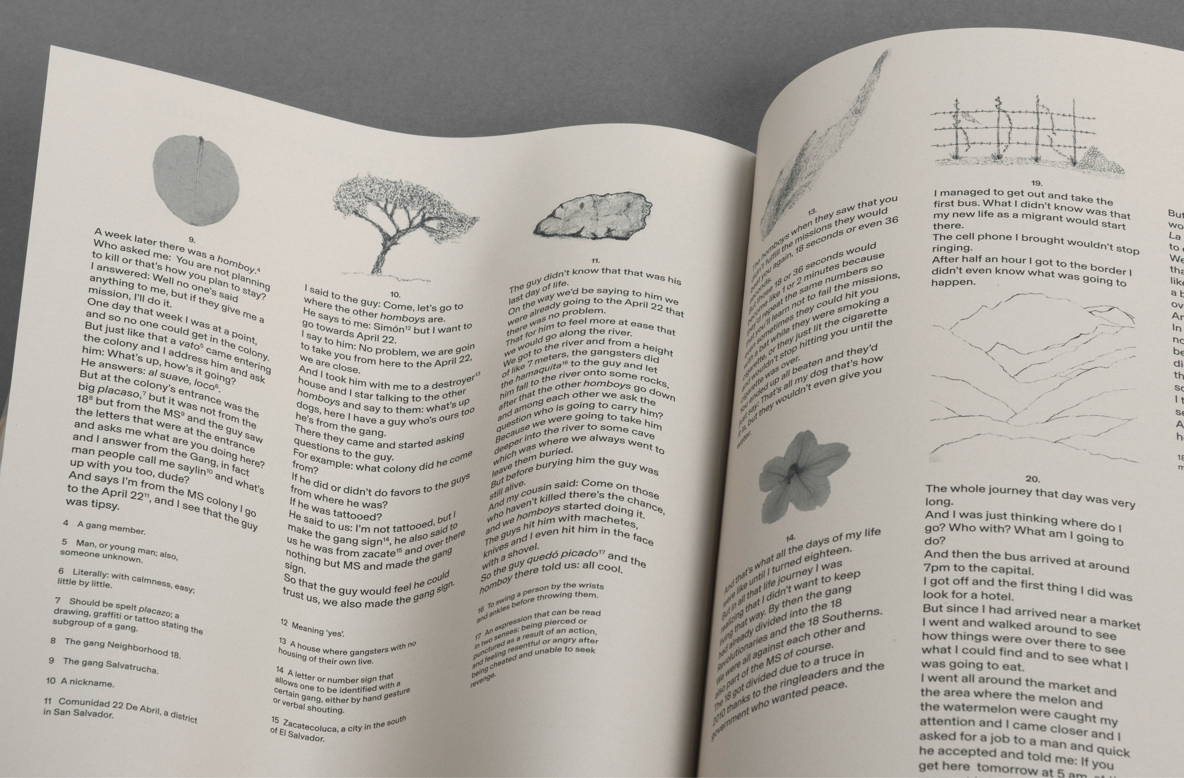 Fotografía cortesia del Autor